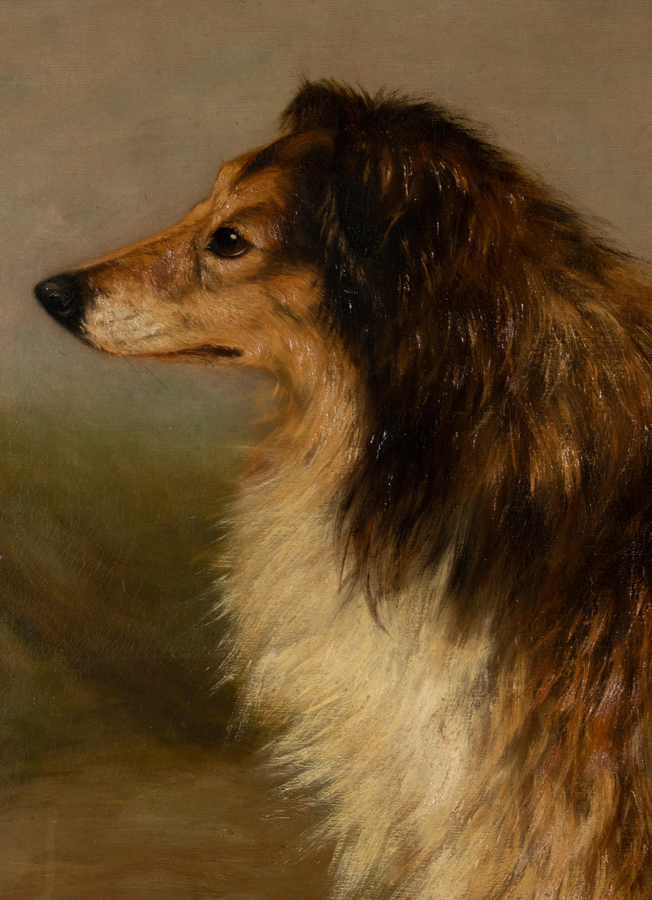 Antique Dog Painting of a Scottish Collie by Zélia Klerx Oil on Canvas In Good Condition In Casteren, Noord-Brabant