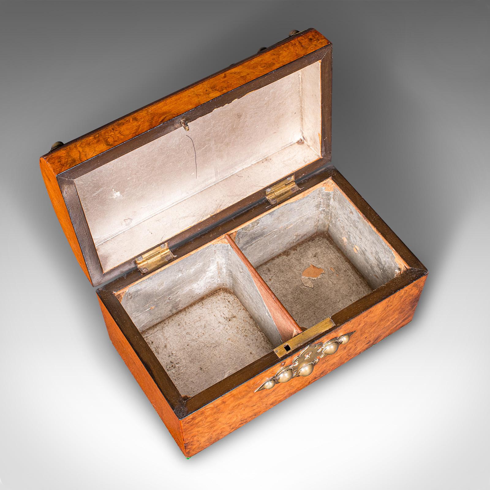 Antike Dome Top Tea Caddy, Englisch, Wurzelholz, Box, gotischen Geschmack, viktorianischen im Angebot 3