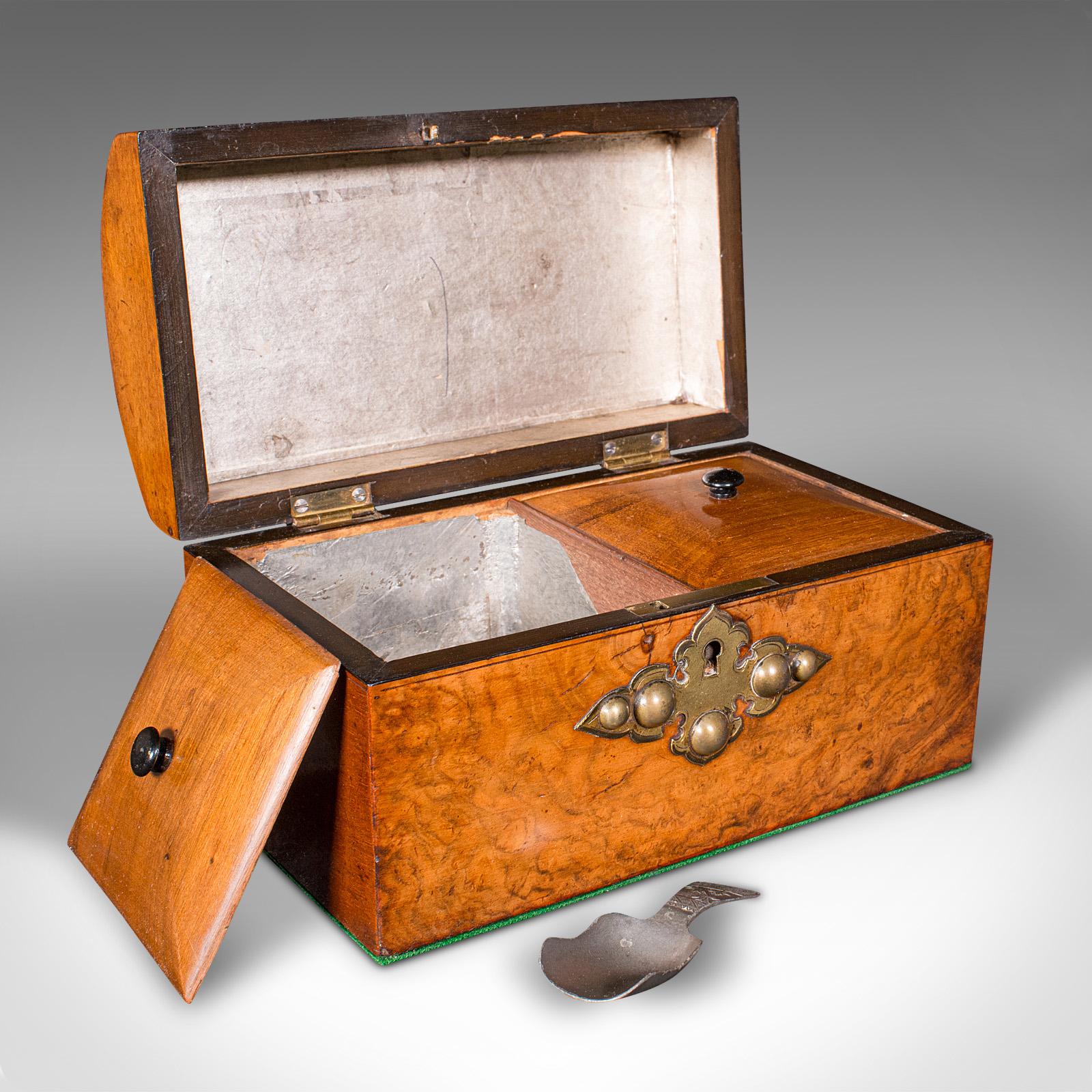 
Dies ist eine antike Teedose mit Kuppelaufsatz. Eine englische Schachtel aus Wurzelnuss und Messing mit einem CAP, aus der spätviktorianischen Zeit, um 1880.

Wunderschönes gotisches Revival-Finish dieses ansprechenden Caddys
Zeigt eine