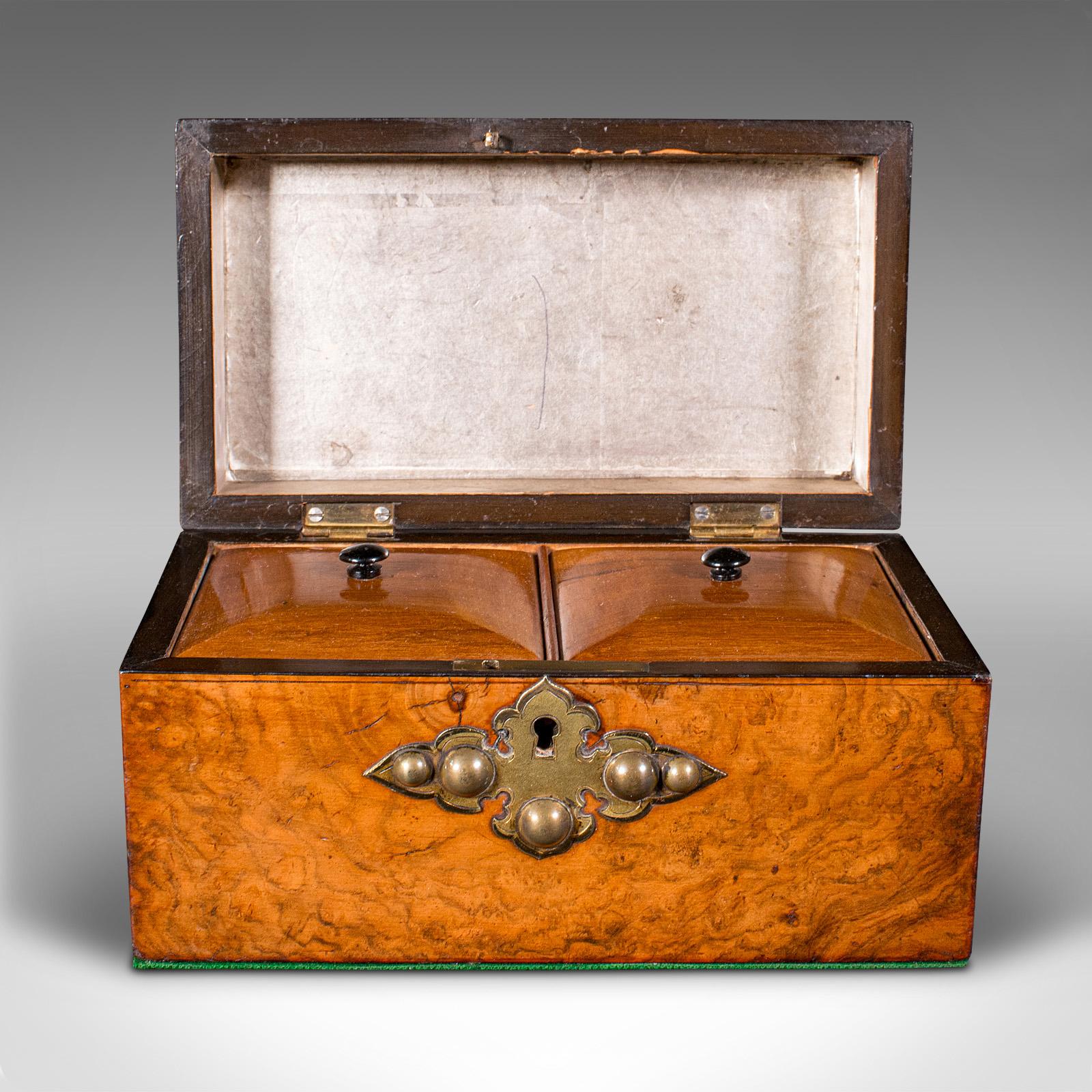 Antike Dome Top Tea Caddy, Englisch, Wurzelholz, Box, gotischen Geschmack, viktorianischen (Britisch) im Angebot