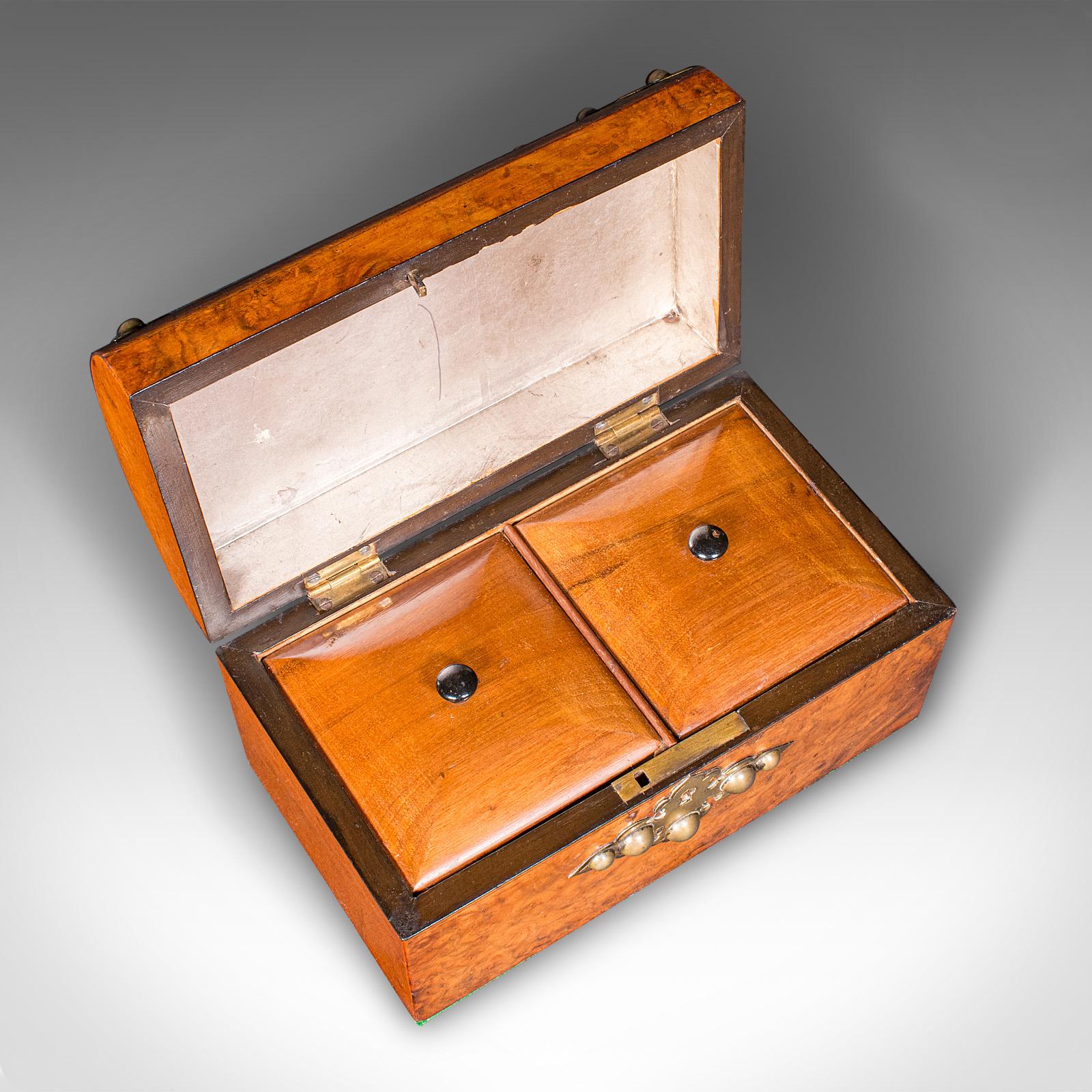 Antike Dome Top Tea Caddy, Englisch, Wurzelholz, Box, gotischen Geschmack, viktorianischen im Angebot 2