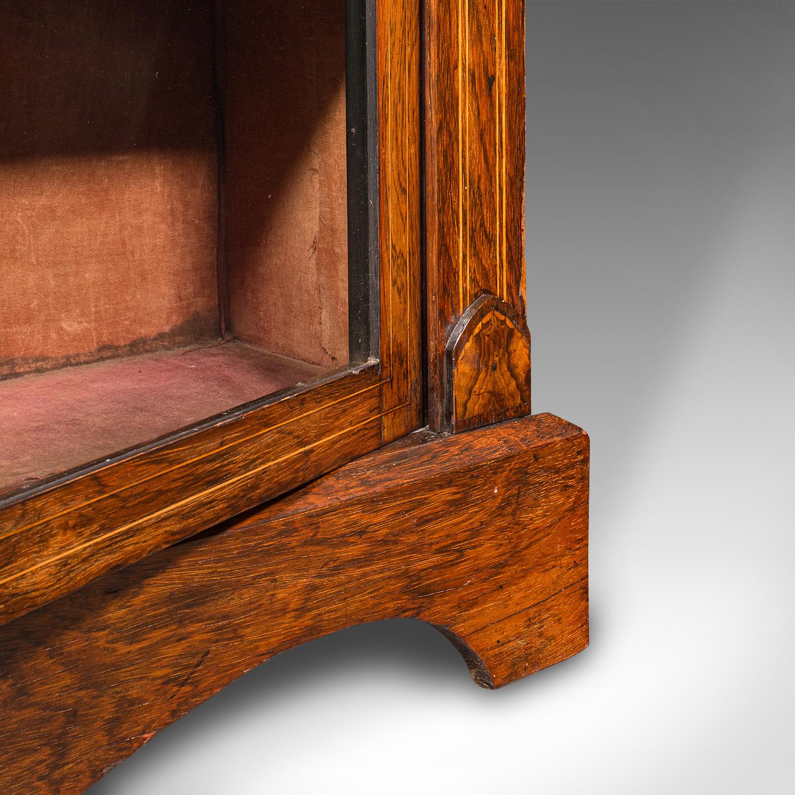 Antique Double Pier Cabinet, English, Glazed Display Cupboard, Regency, C.1820 6