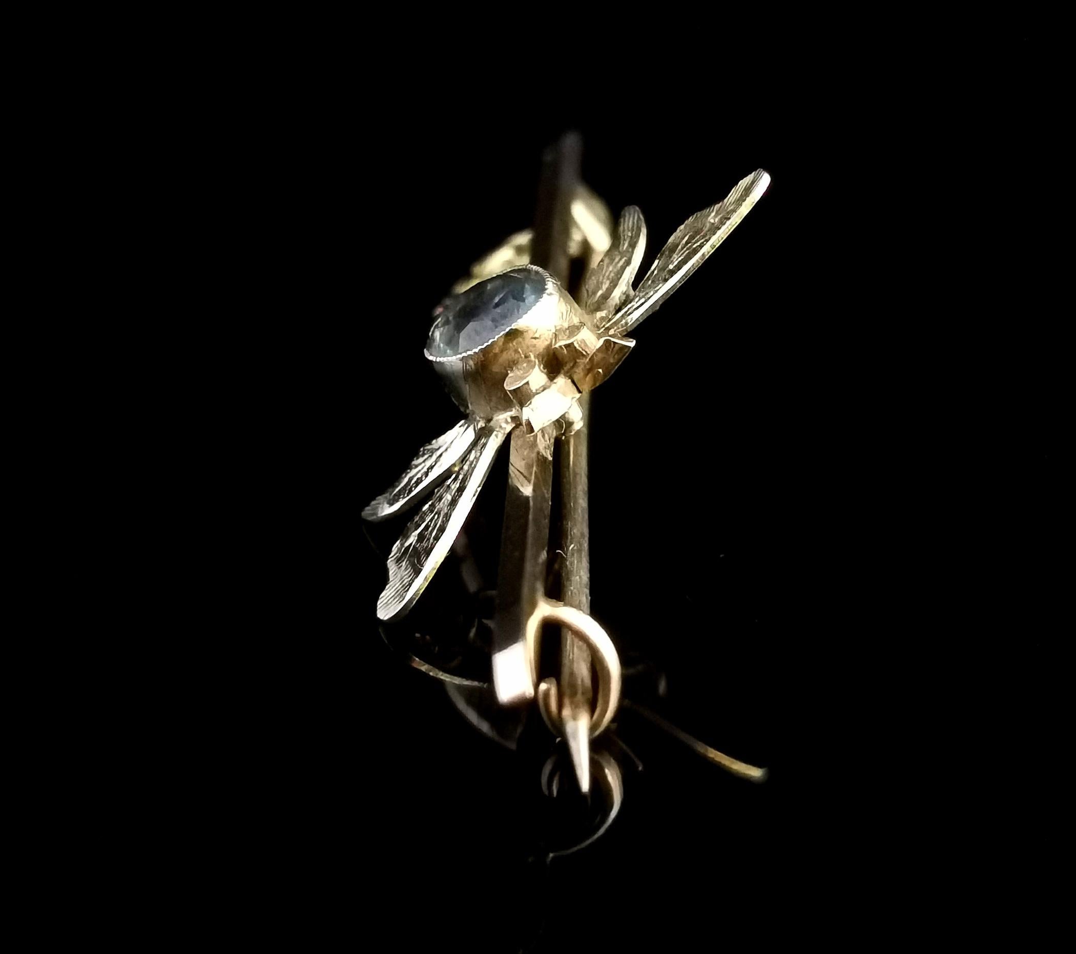 Antique Dragonfly Brooch, 9 Karat Yellow Gold, Blue Paste, Boxed 6