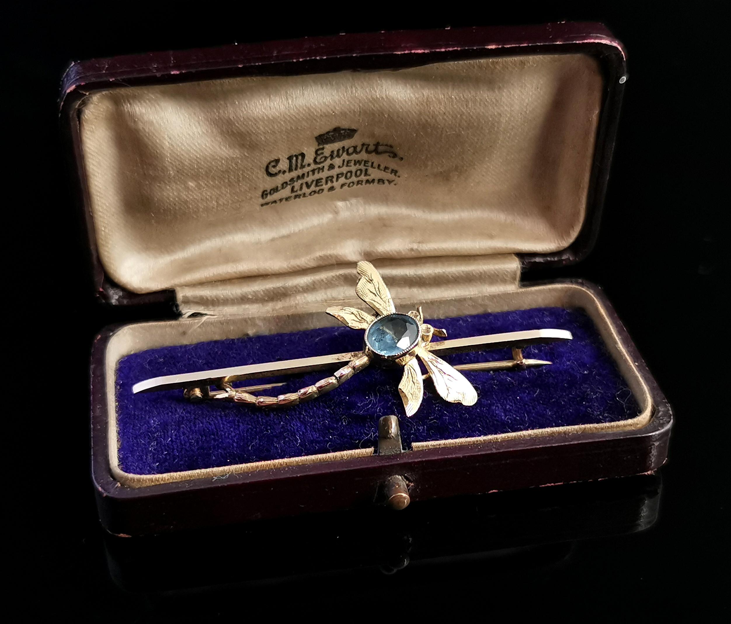 Edwardian Antique Dragonfly Brooch, 9 Karat Yellow Gold, Blue Paste, Boxed