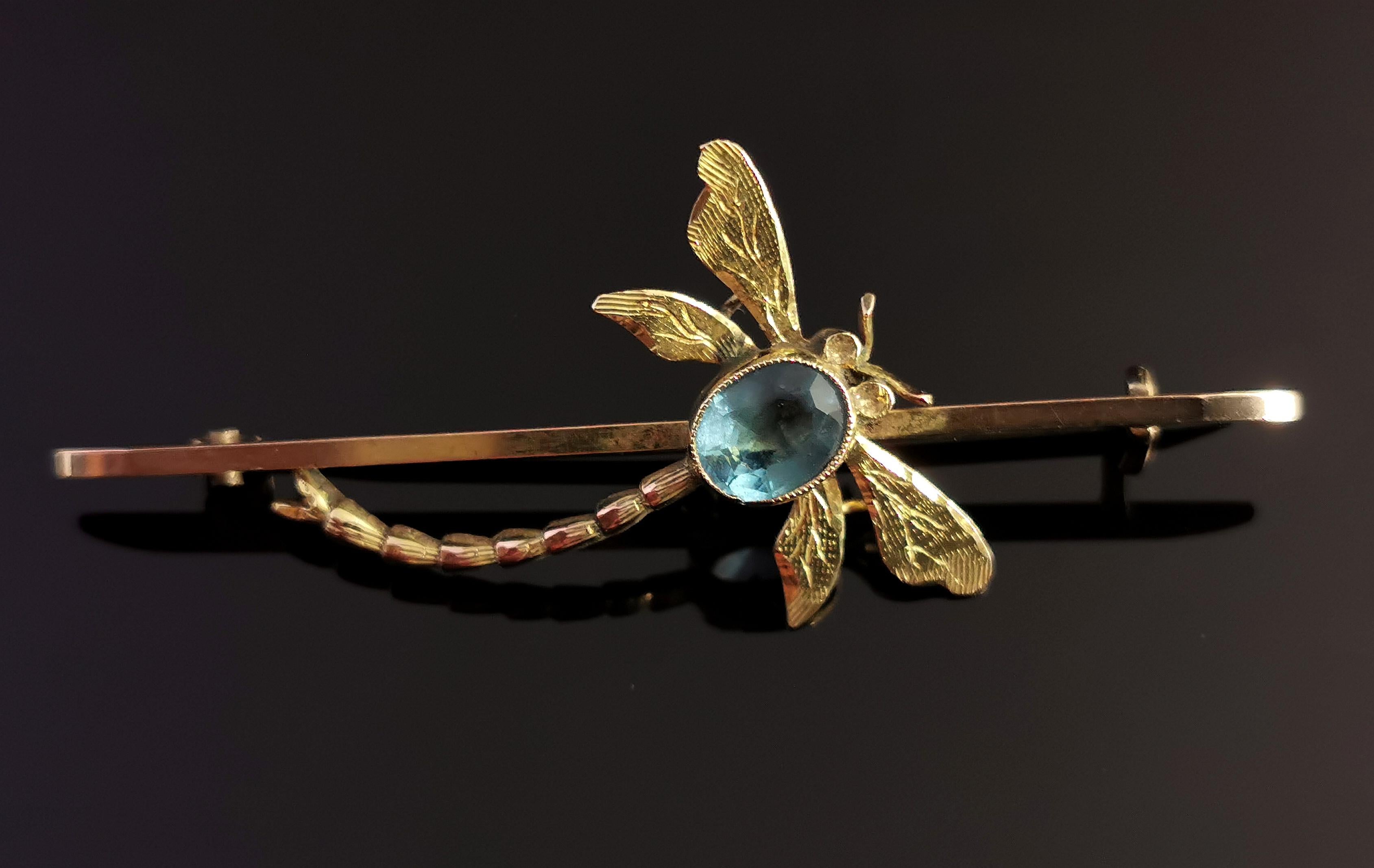 Antique Dragonfly Brooch, 9 Karat Yellow Gold, Blue Paste, Boxed In Good Condition In NEWARK, GB