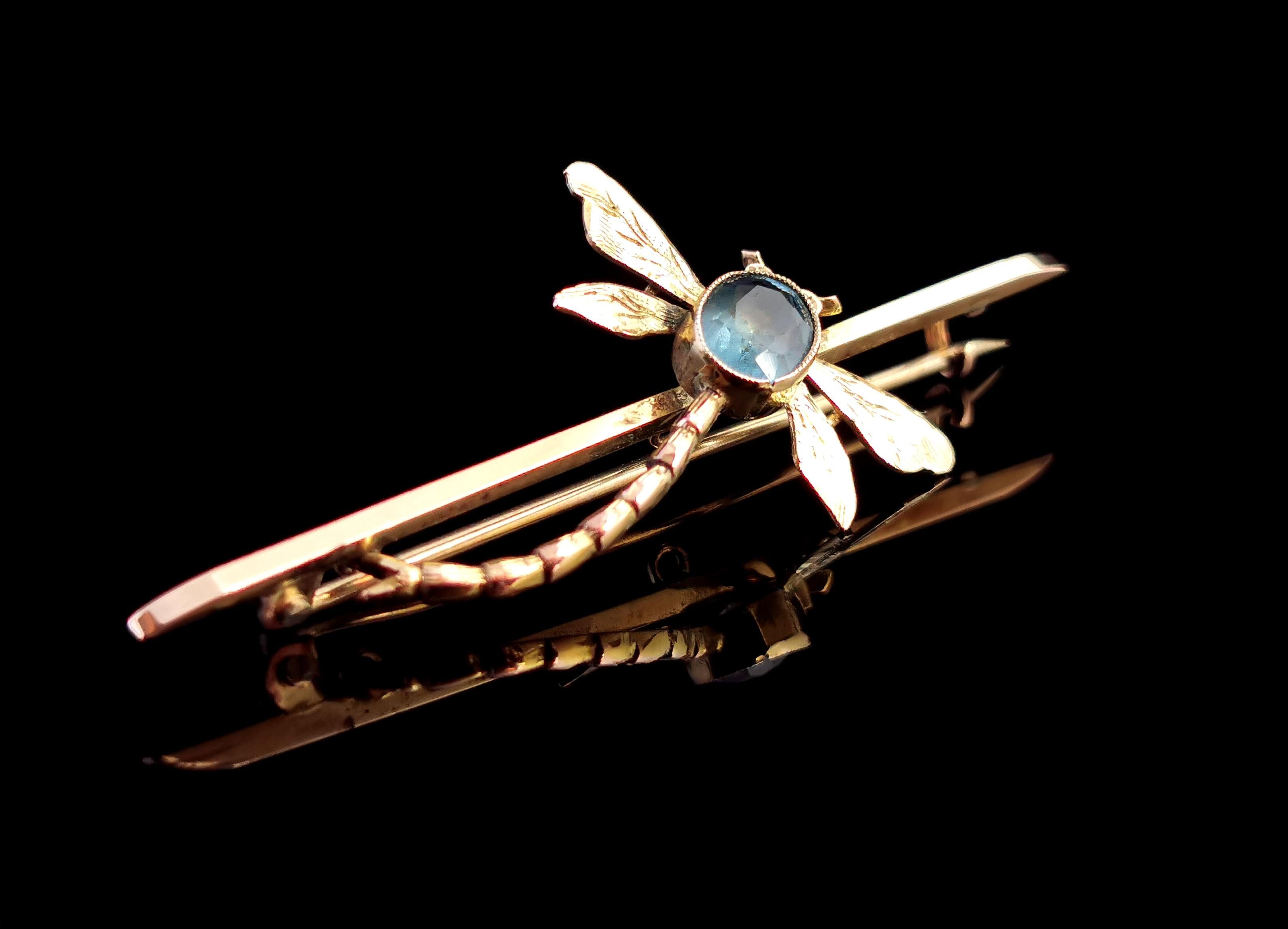 Women's or Men's Antique Dragonfly Brooch, 9 Karat Yellow Gold, Blue Paste, Boxed