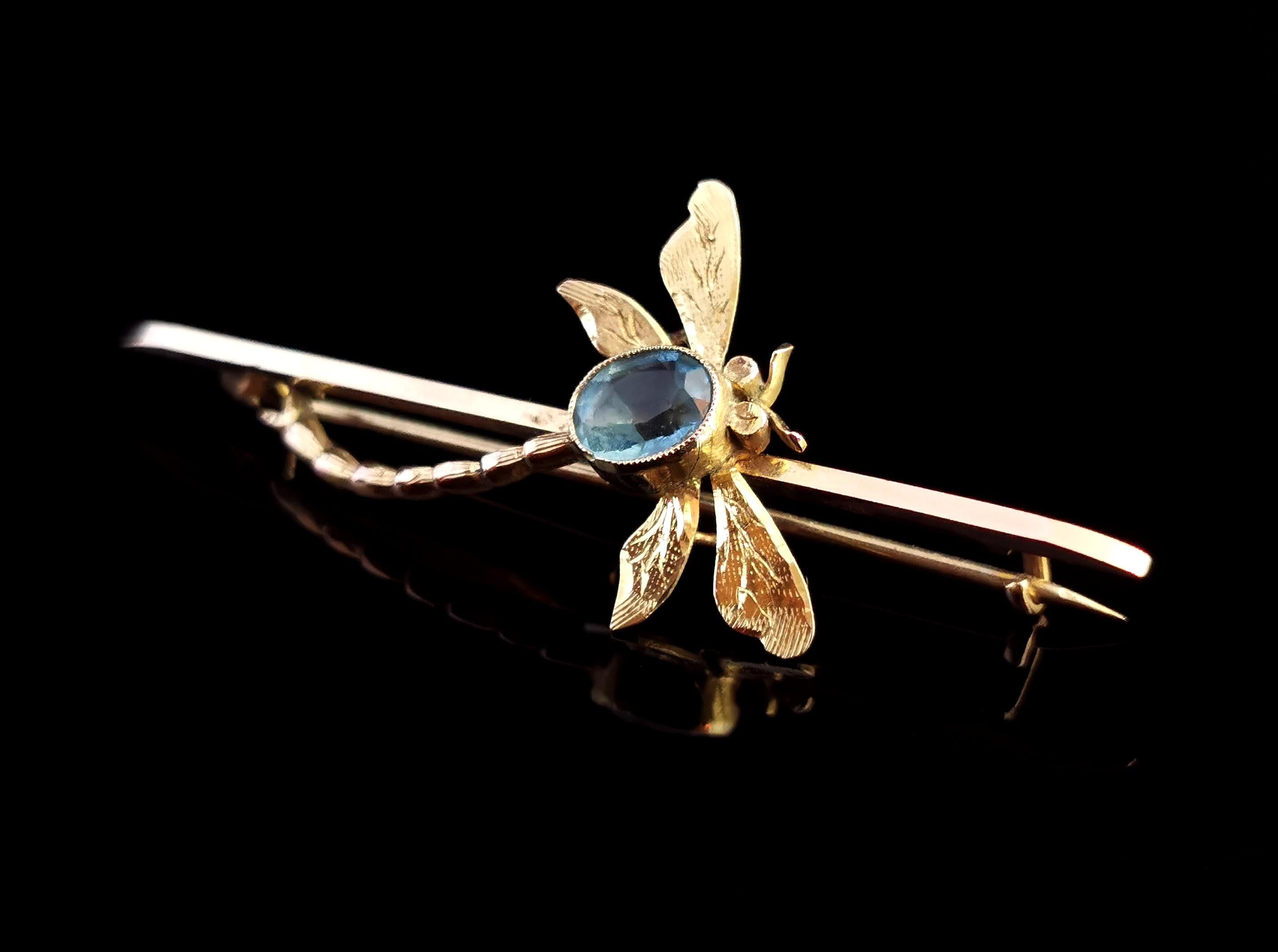 Antique Dragonfly Brooch, 9 Karat Yellow Gold, Blue Paste, Boxed 1
