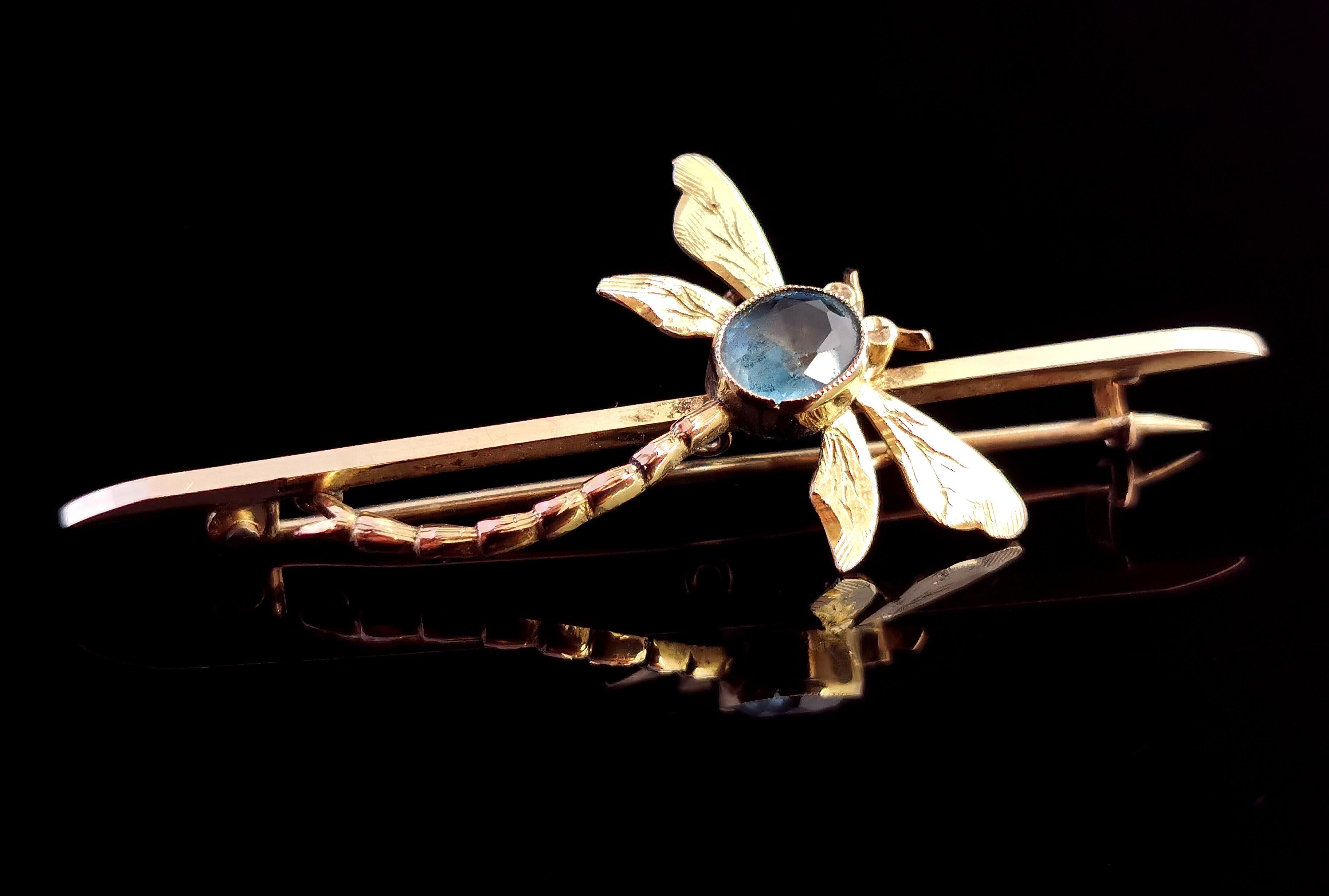 Antique Dragonfly Brooch, 9 Karat Yellow Gold, Blue Paste, Boxed 2