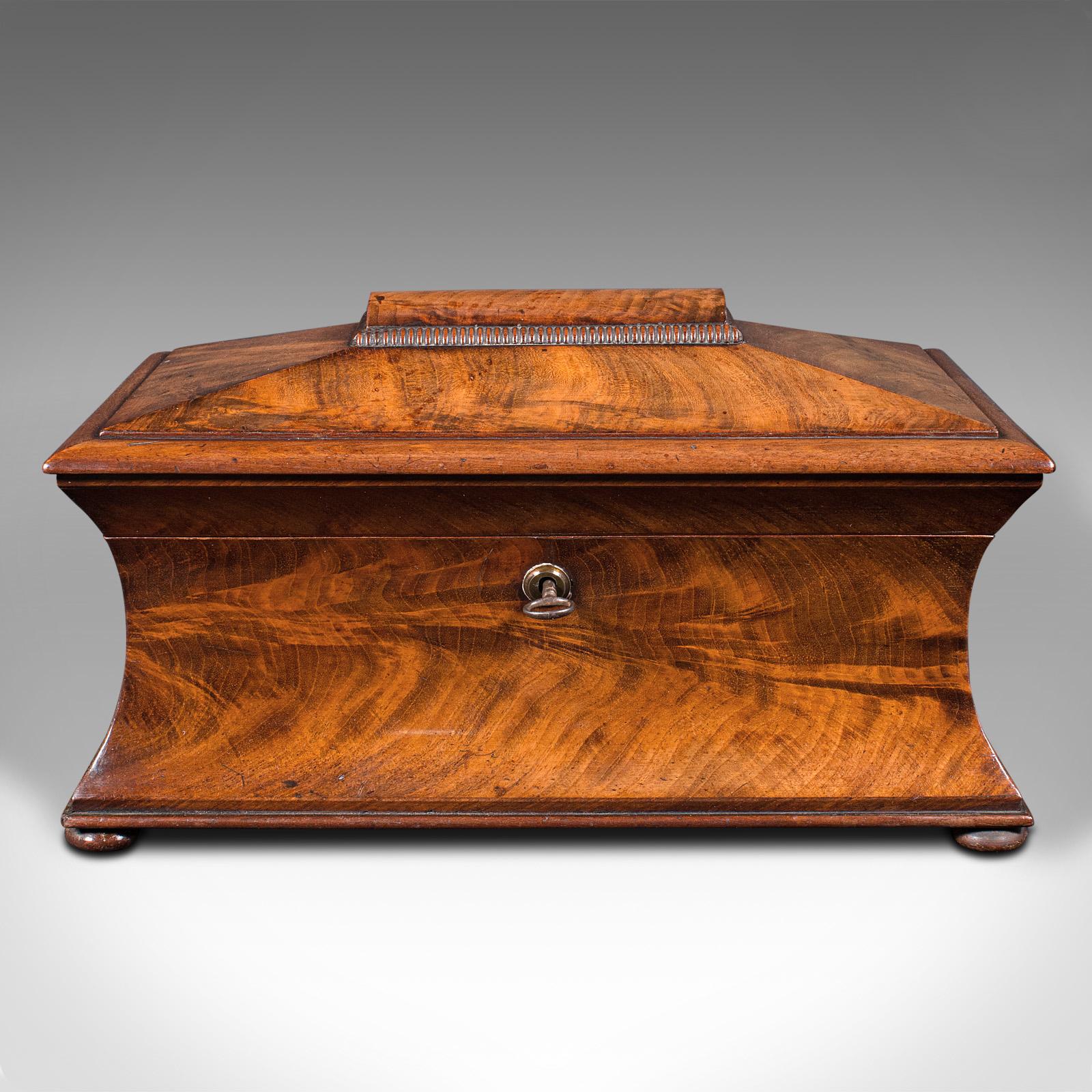 Britannique Antique The Drawing Room Tea Caddy, English, Flame, Sarcophagus, Regency, circa 1820 en vente