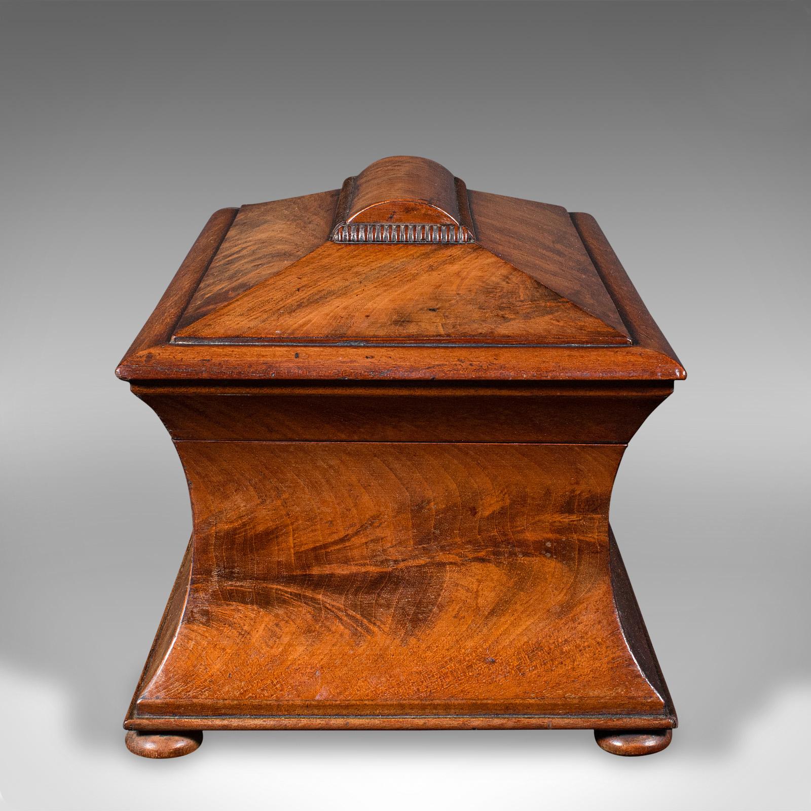 XIXe siècle Antique The Drawing Room Tea Caddy, English, Flame, Sarcophagus, Regency, circa 1820 en vente