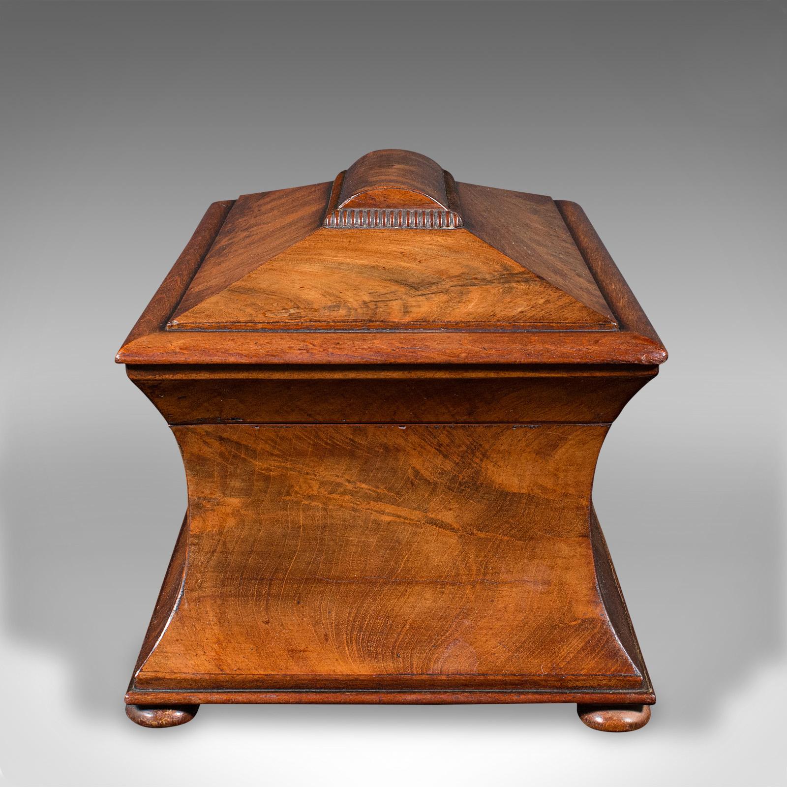 Antique Drawing Room Tea Caddy, English, Flame, Sarcophagus, Regency, circa 1820 In Good Condition For Sale In Hele, Devon, GB