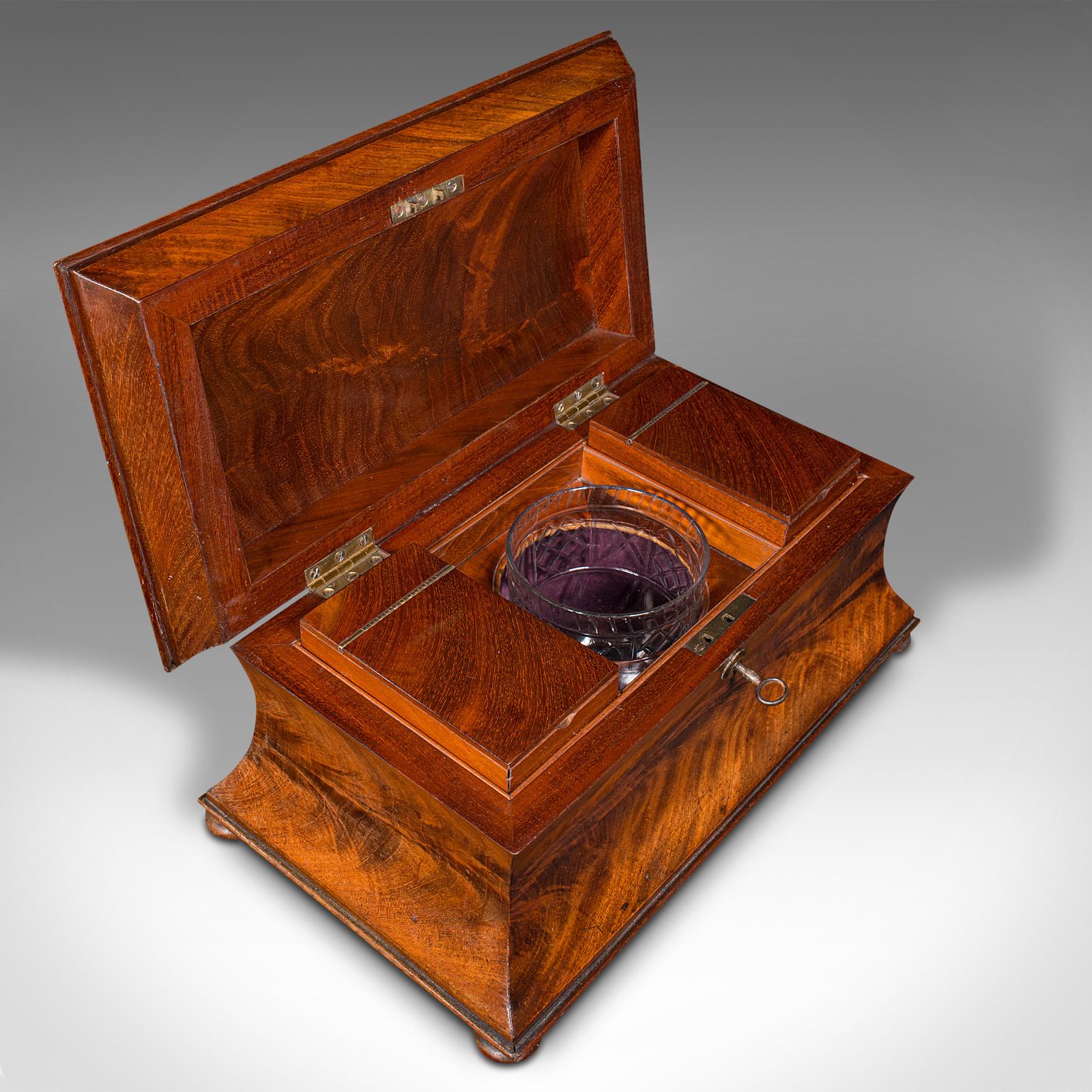 Wood Antique Drawing Room Tea Caddy, English, Flame, Sarcophagus, Regency, circa 1820 For Sale