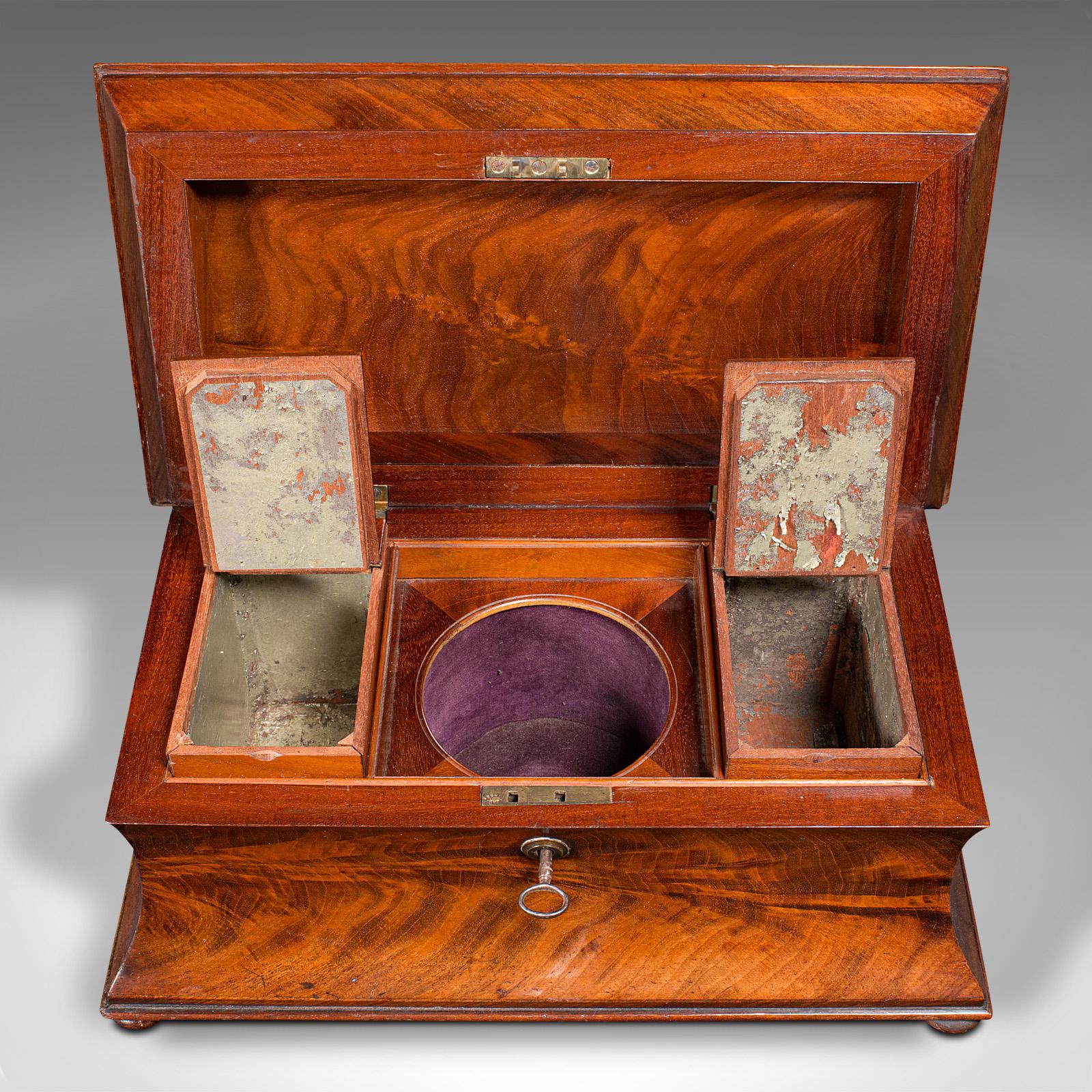 Antique The Drawing Room Tea Caddy, English, Flame, Sarcophagus, Regency, circa 1820 en vente 3