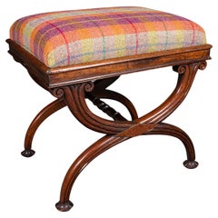 Antique Dressing Stool, English, Music Recital, Fireside, Footstool, Regency