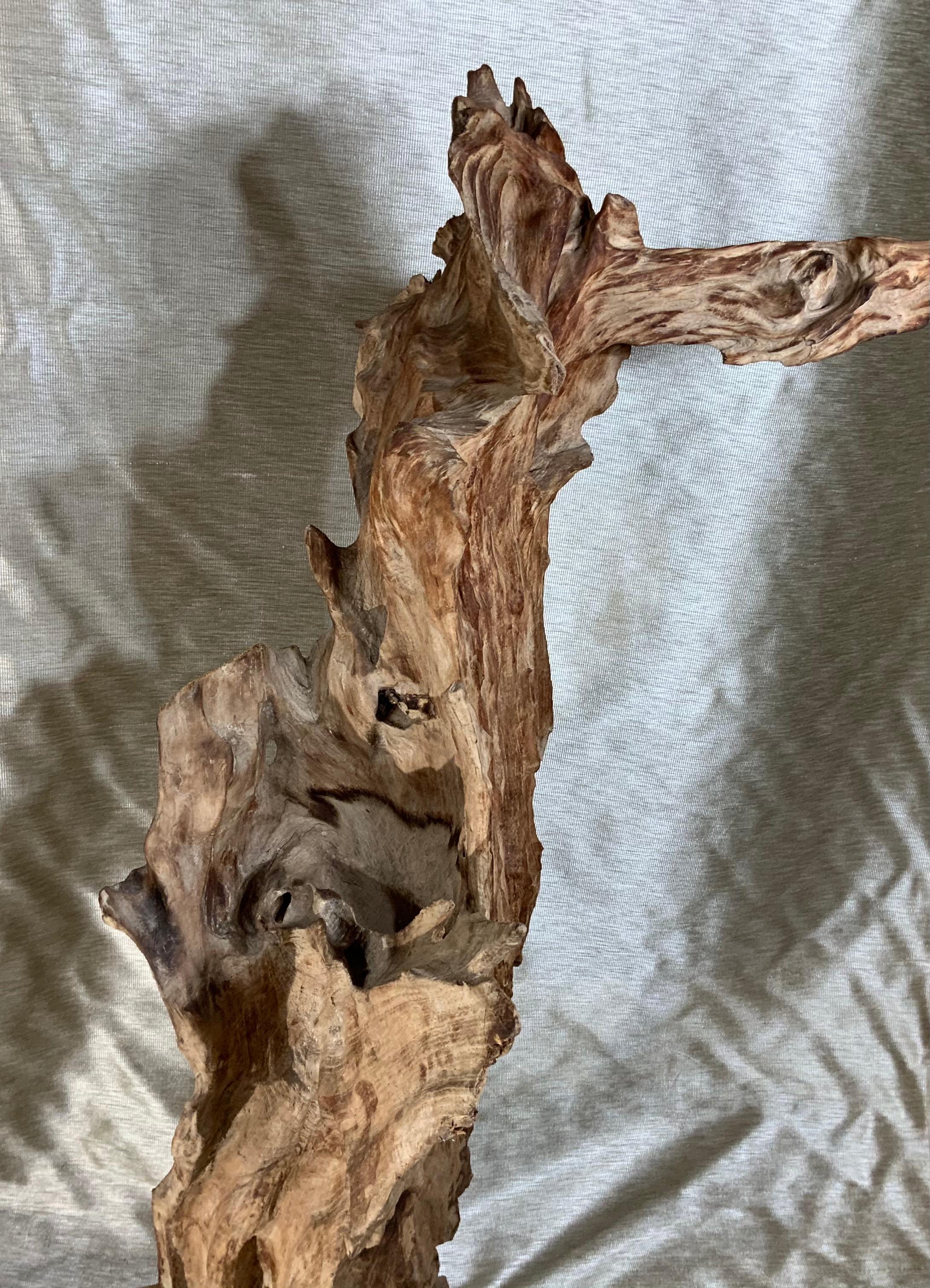 Antique Driftwood Sculpture For Sale 1