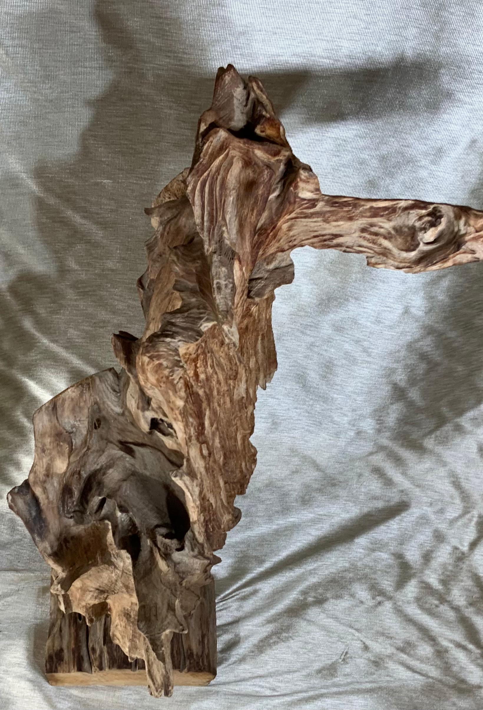 Antique Driftwood Sculpture For Sale 2