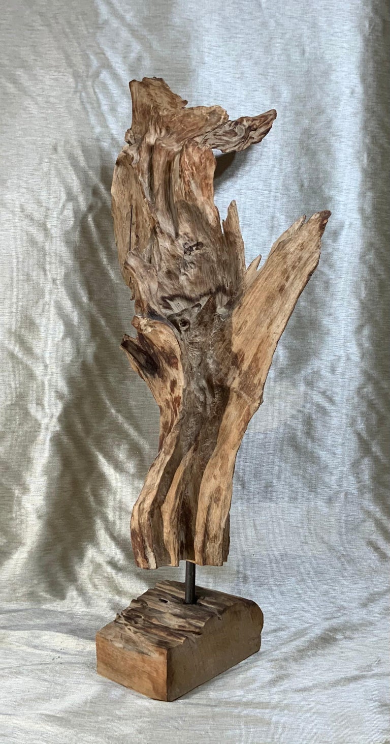 Antique Driftwood Sculpture For Sale at 1stDibs