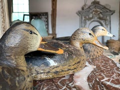 Antique Duck Decoys