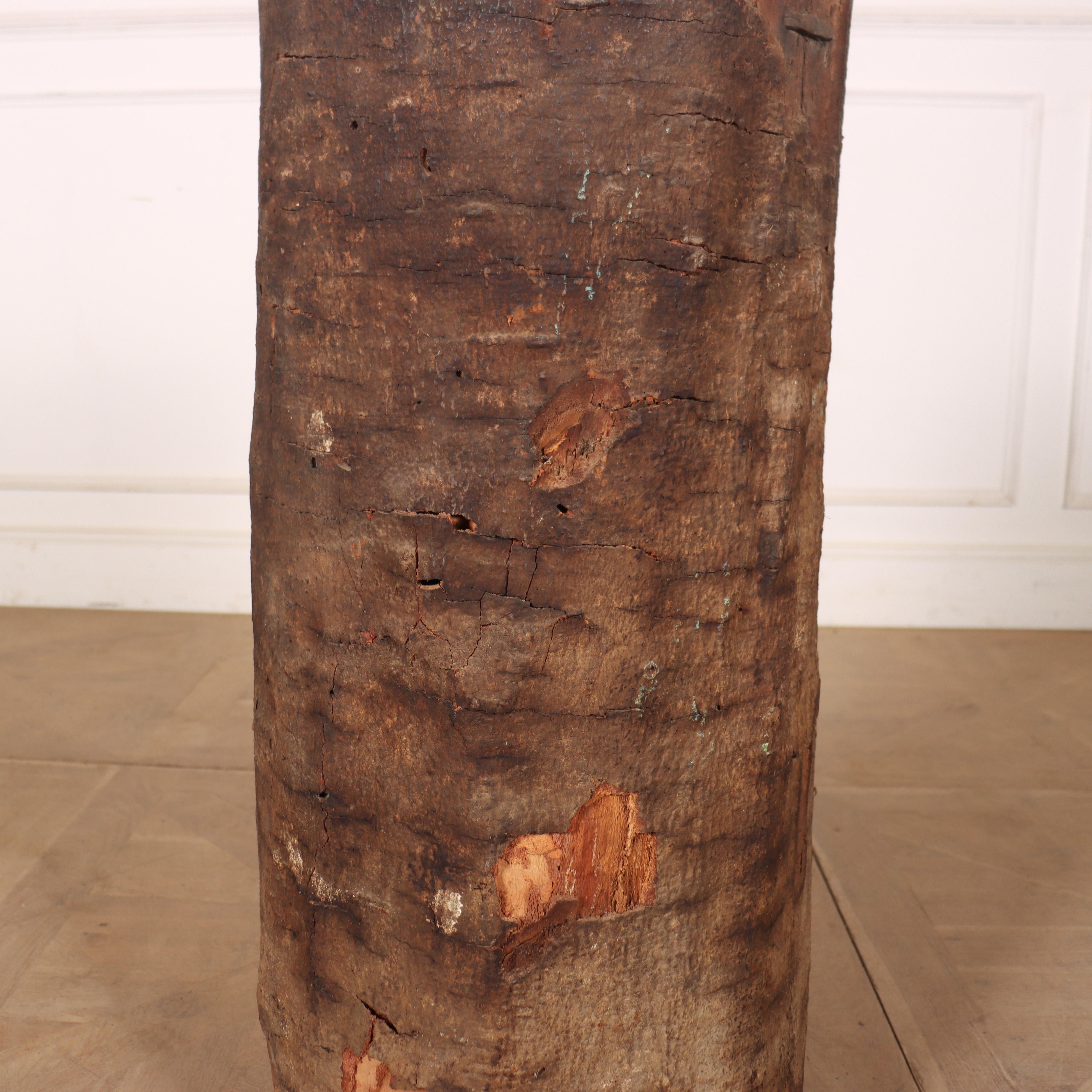 Unusual early 20th century dug out tree trunk from the Carpathian Mountains with its original bark finish. This would make an ideal planter. 1900.

Code: 8591

Dimensions:
H: 34