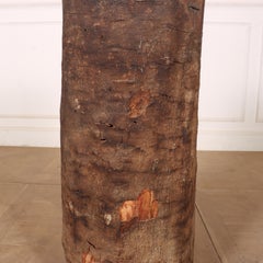 Antique Dug Out Tree Trunk