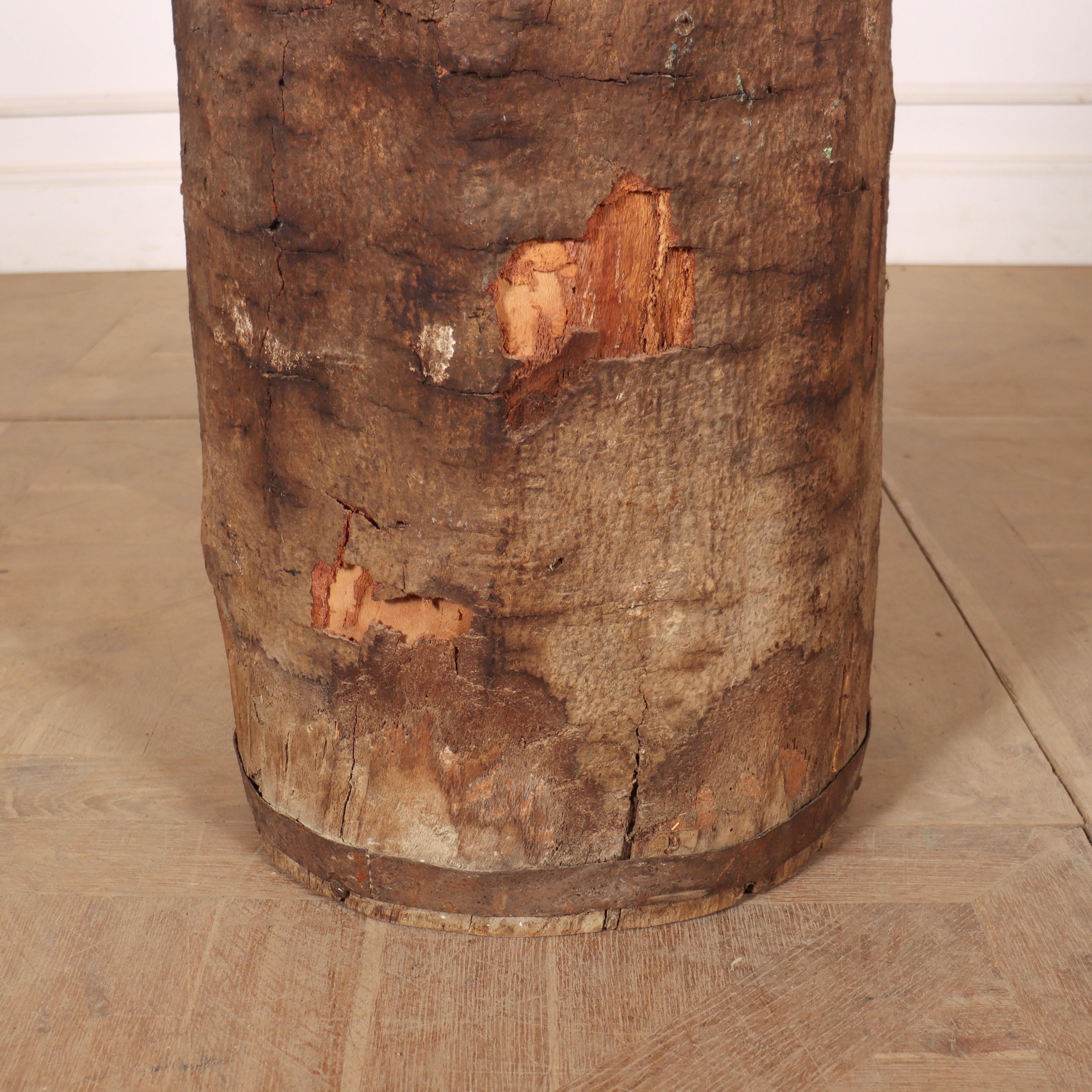 European Antique Dug Out Tree Trunk For Sale