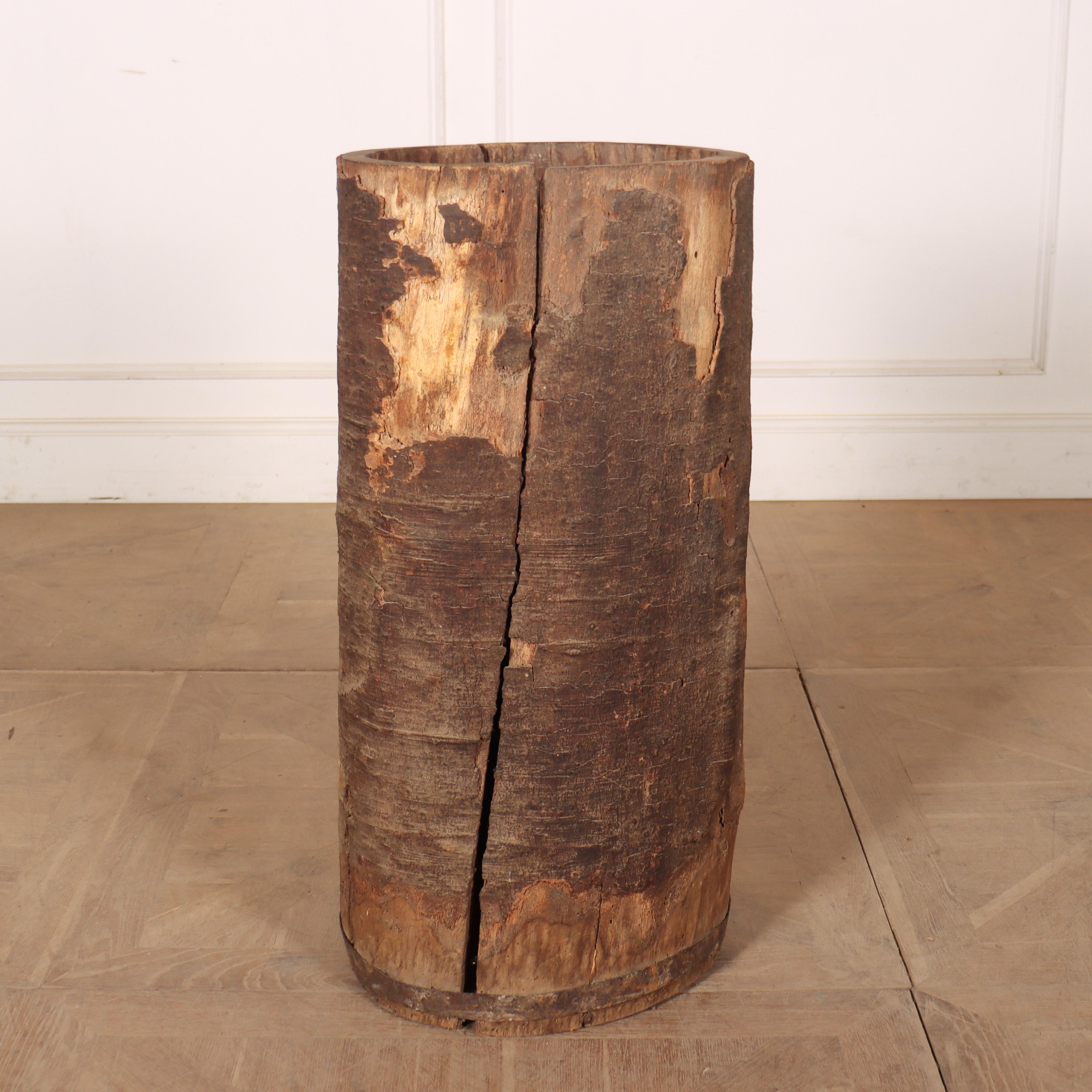 20th Century Antique Dug Out Tree Trunk For Sale