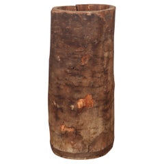 Antiguo tronco de árbol desenterrado