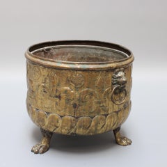Antike holländische Jardiniere Pflanzgefäß aus Messing (ca. 19. Jahrhundert)
