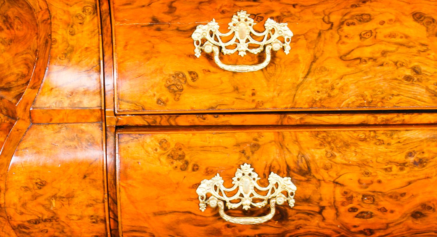 Antique Dutch Burr Walnut Bombé Cabinet Armoire Secret Drawers, 18th Century 1