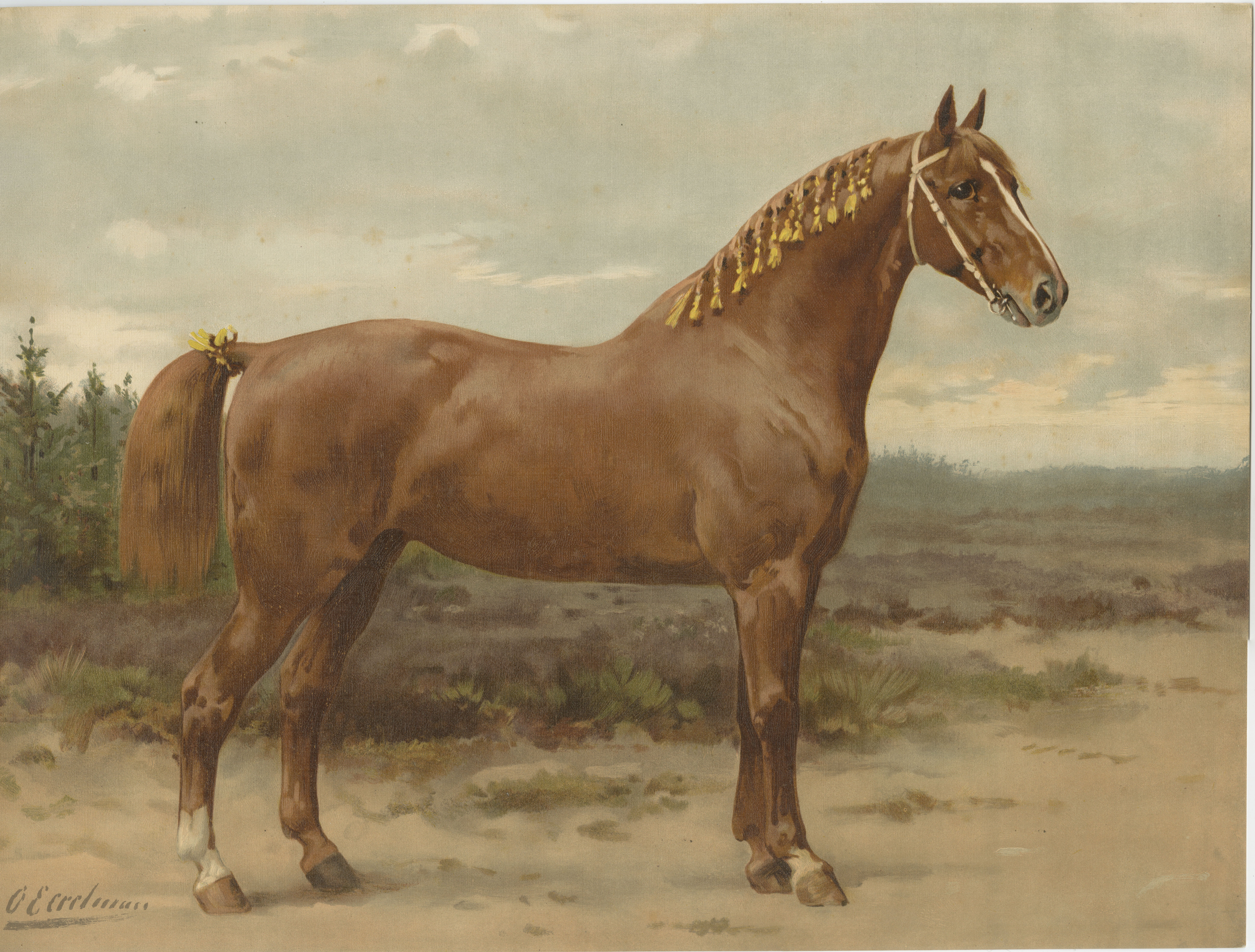 Antique Dutch Gelderland Horse Print by Otto Eerelman, 1898