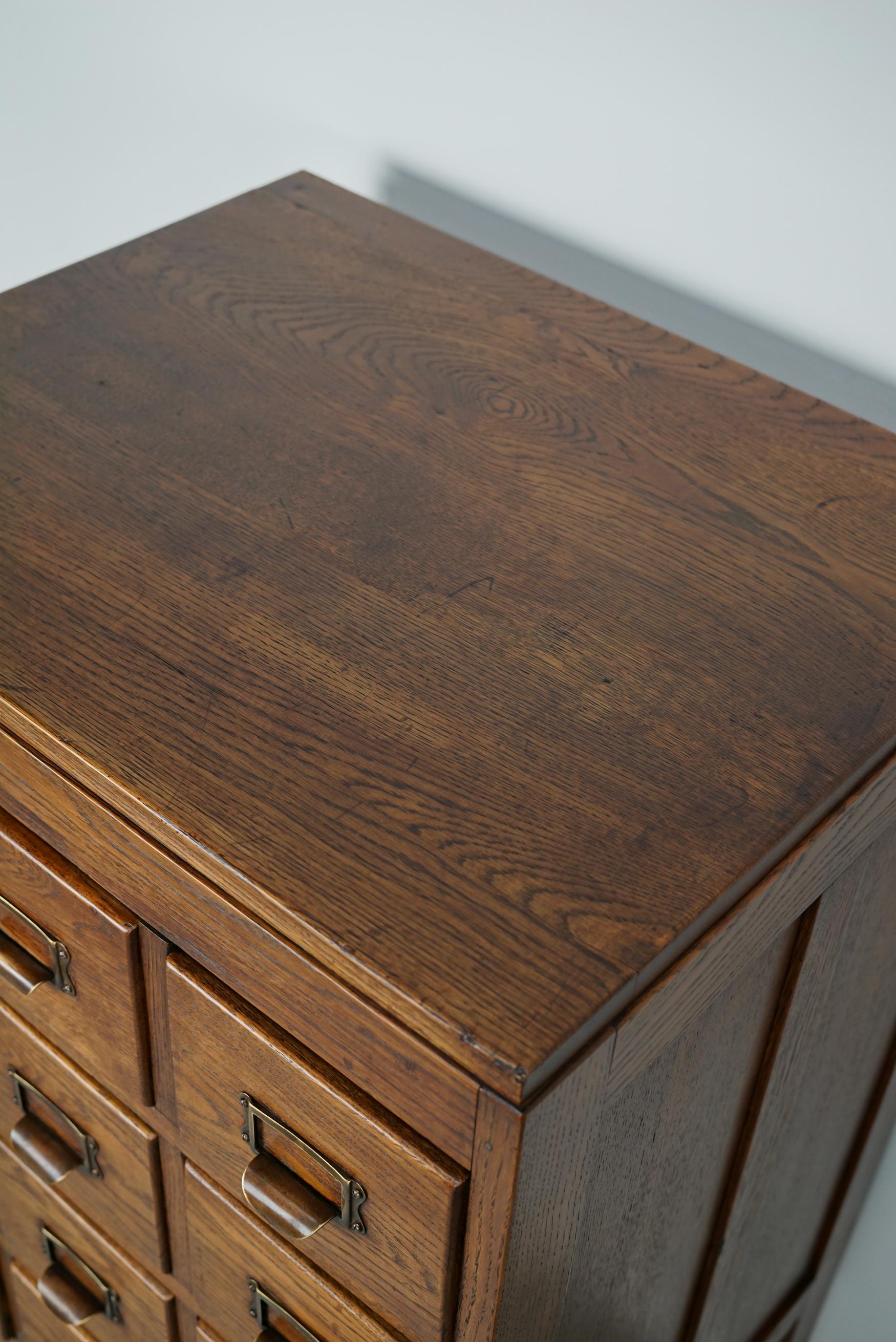 Antique Dutch Oak Apothecary Cabinet or Filing Cabinet, 1930s For Sale 7