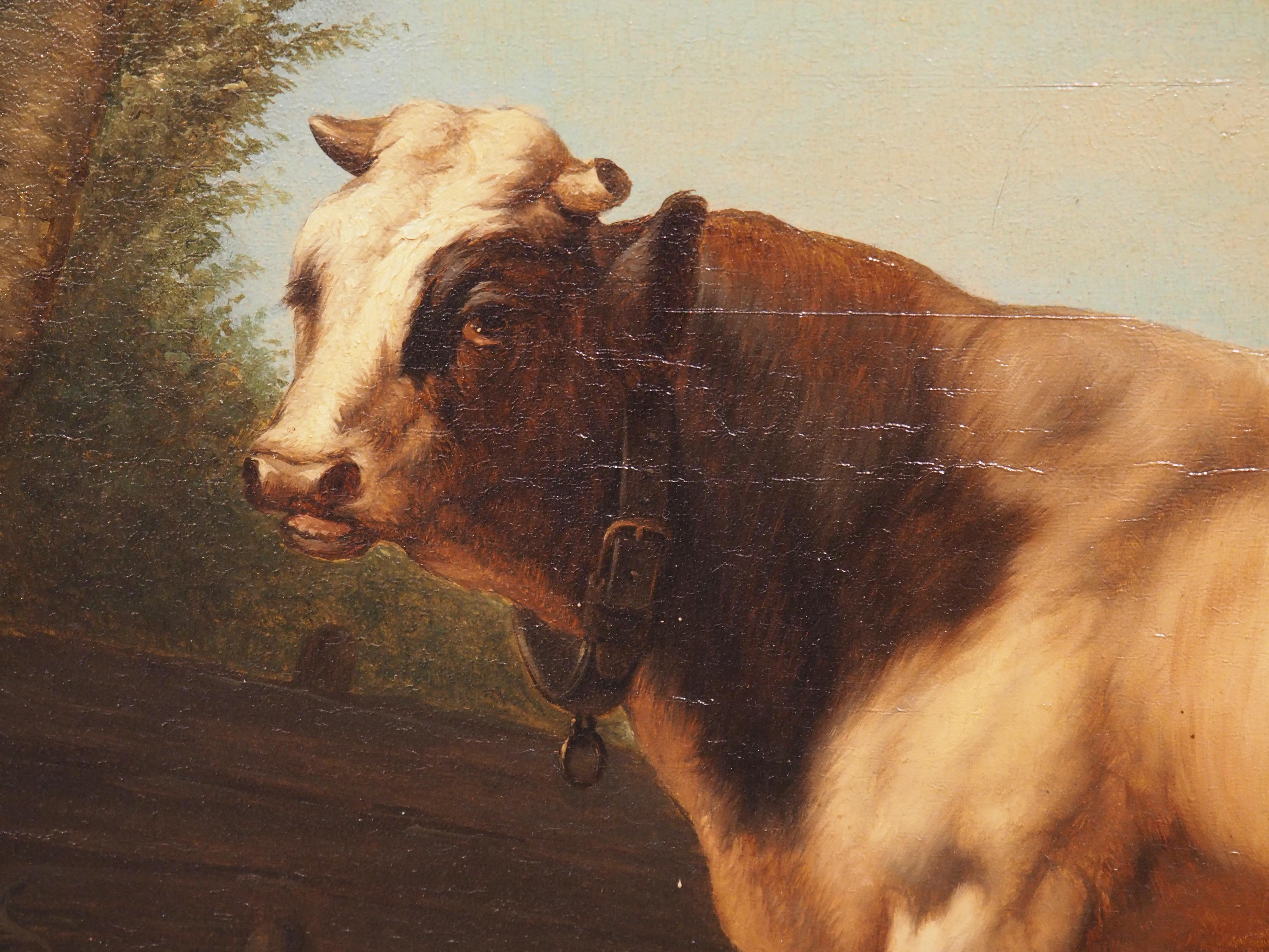 Antique Dutch Oil on Board Painting of Cattle, Signed and Dated 1858 For Sale 9