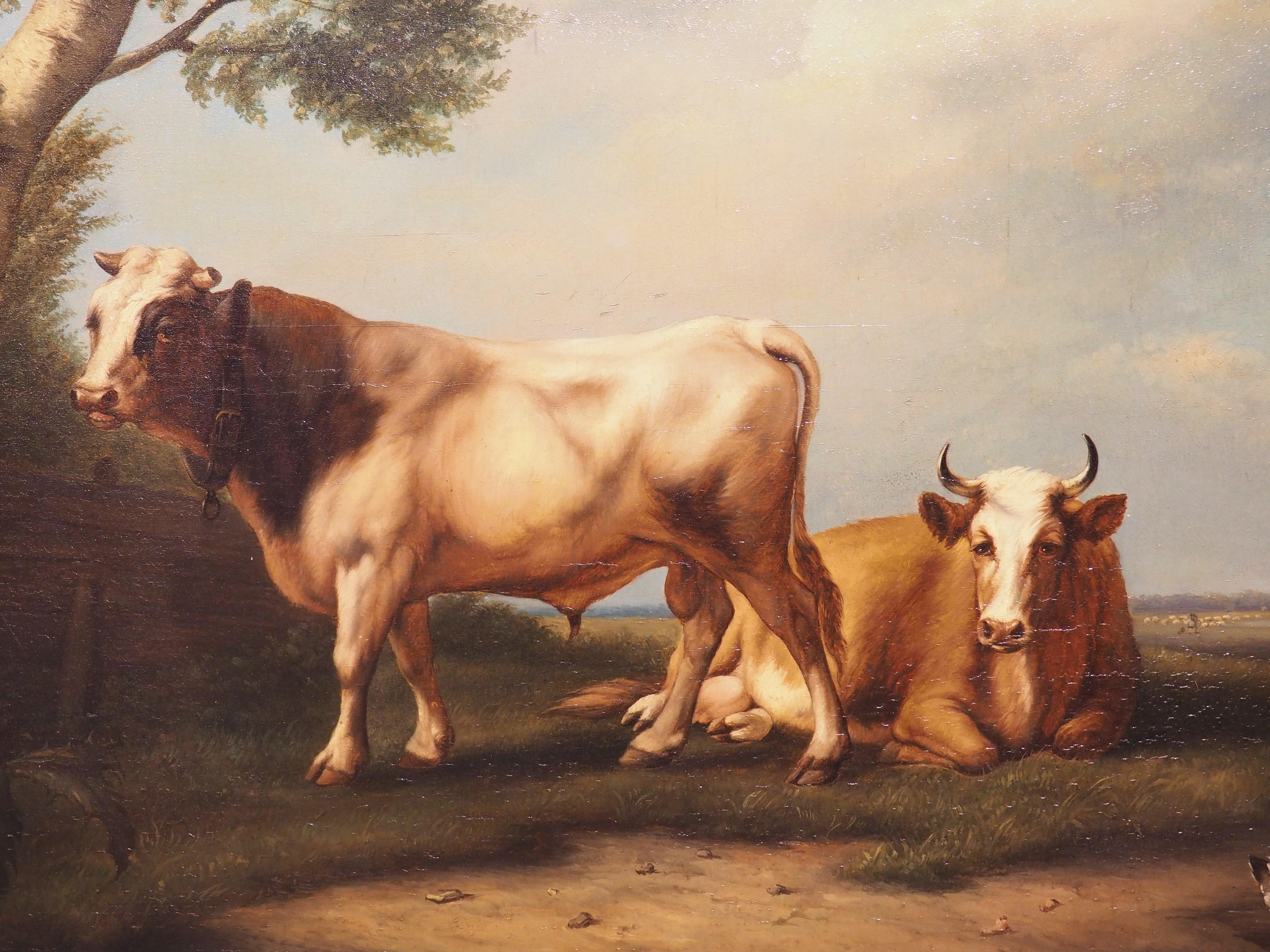 Antique Dutch Oil on Board Painting of Cattle, Signed and Dated 1858 In Good Condition For Sale In Dallas, TX