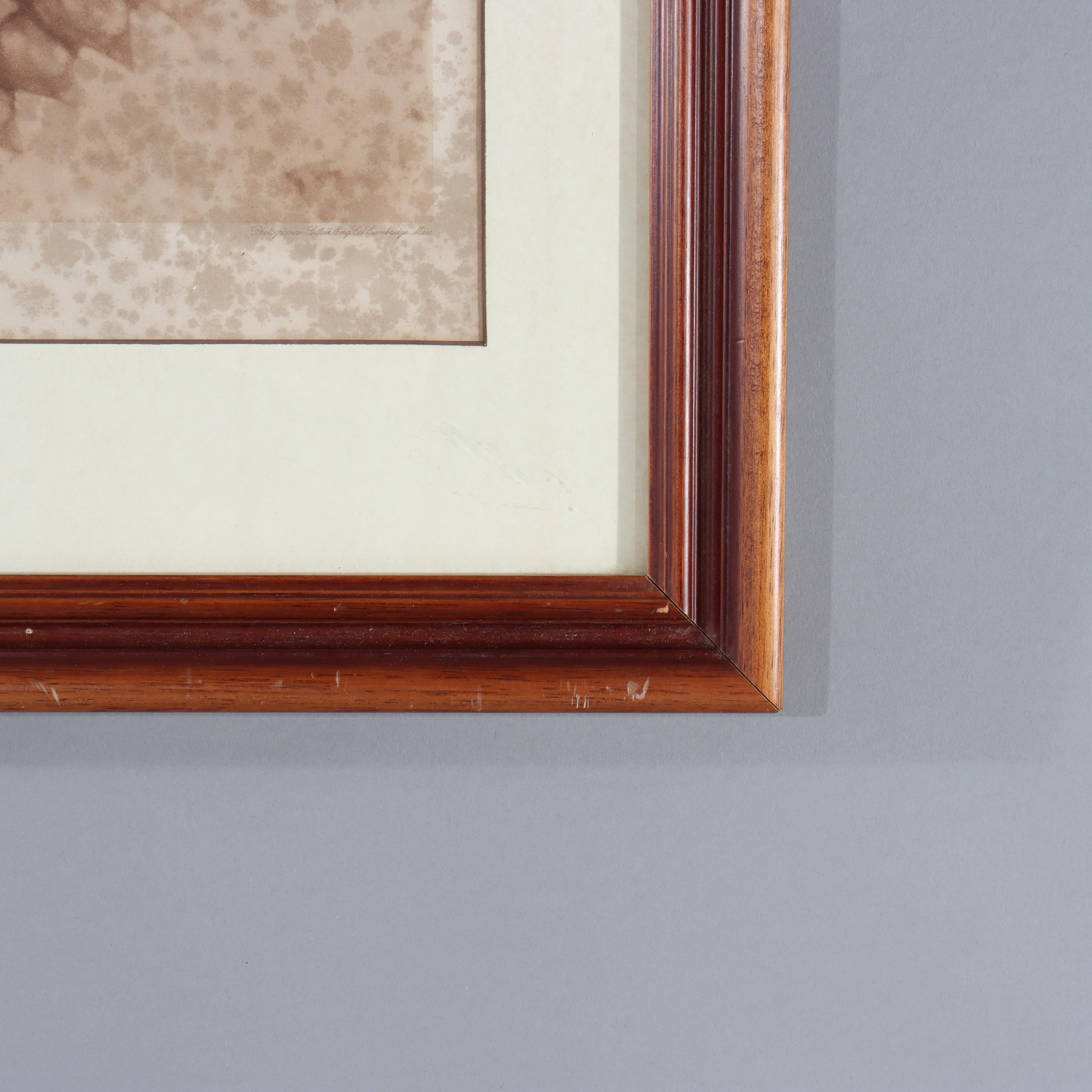 Photogravures anciennes de E. J. Curtis 