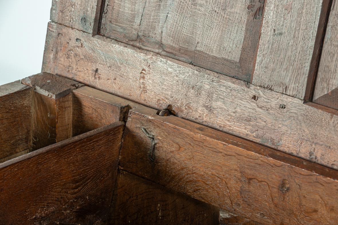 Antique early 18th century English warm brown chest or trunk with rich carvings For Sale 6