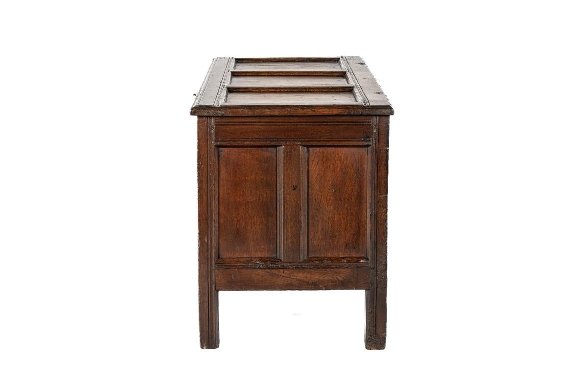 Carved Antique early 18th century English warm brown chest or trunk with rich carvings For Sale