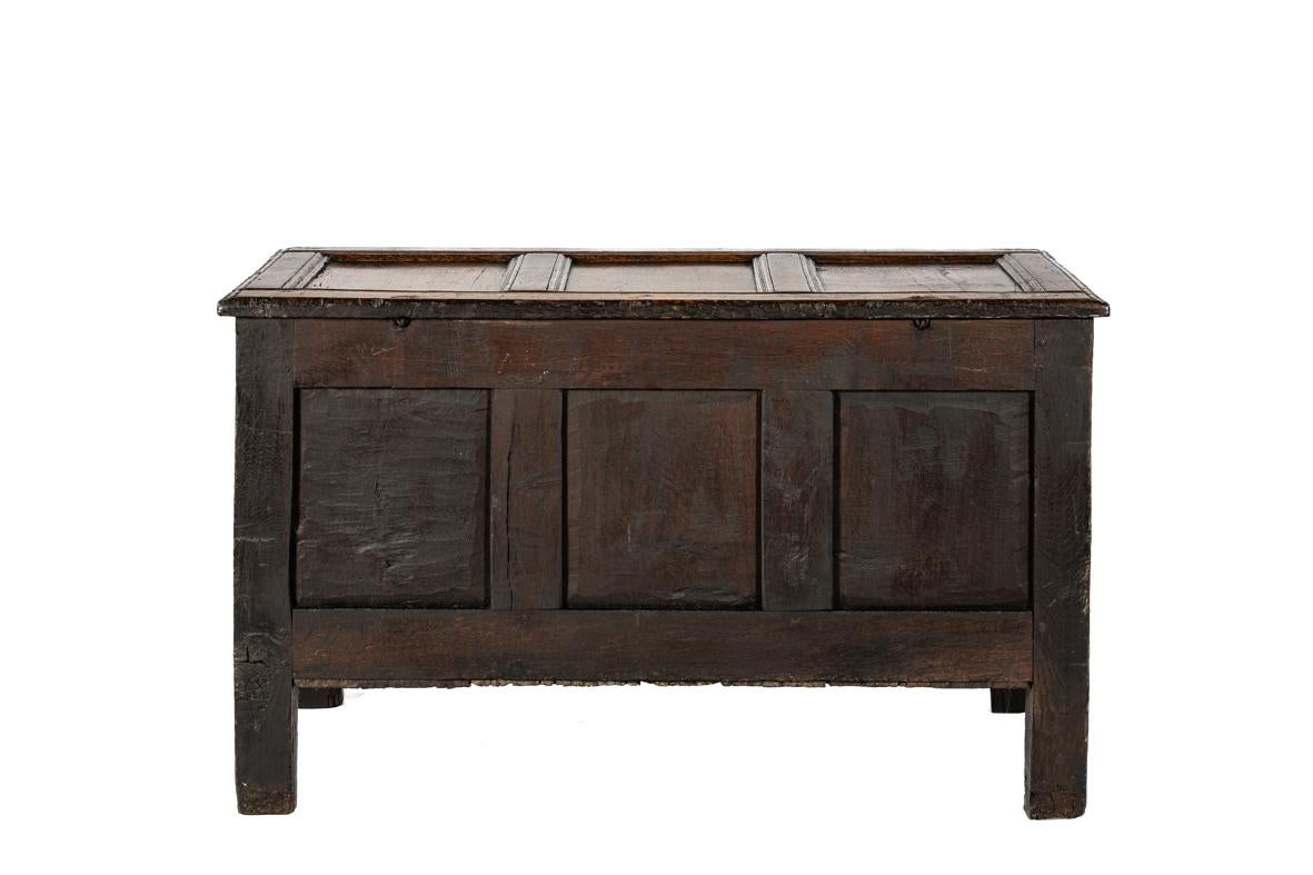Antique early 18th century English warm brown chest or trunk with rich carvings In Good Condition For Sale In Casteren, NL
