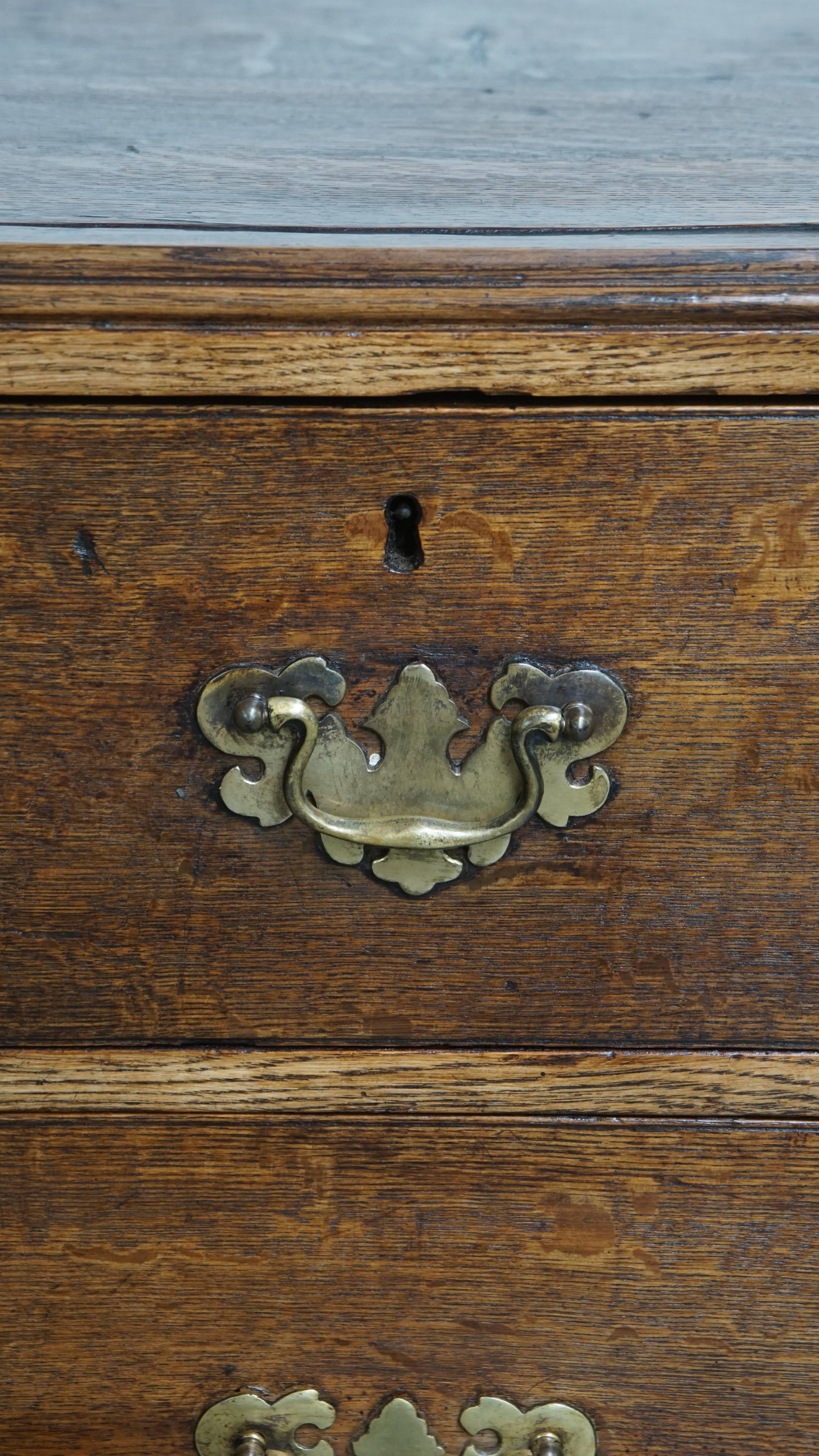 Antique Early 19th-Century English Oak Chest of Drawers/Commode For Sale 3