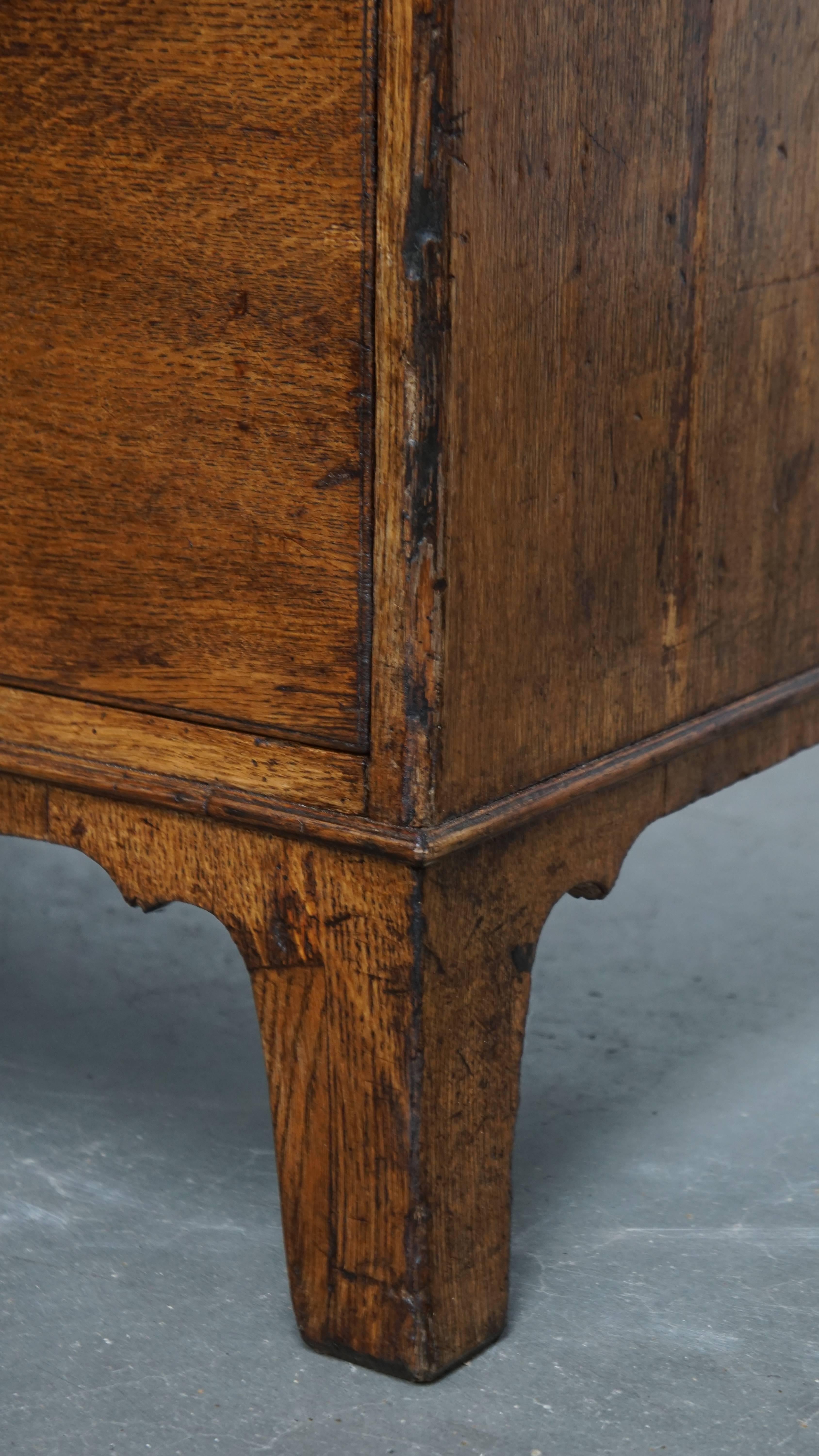 Antique Early 19th-Century English Oak Chest of Drawers/Commode For Sale 6