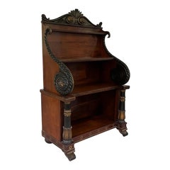 Antique Early 19th Century English Regency Rosewood Dwarf Bookcase Cabinet