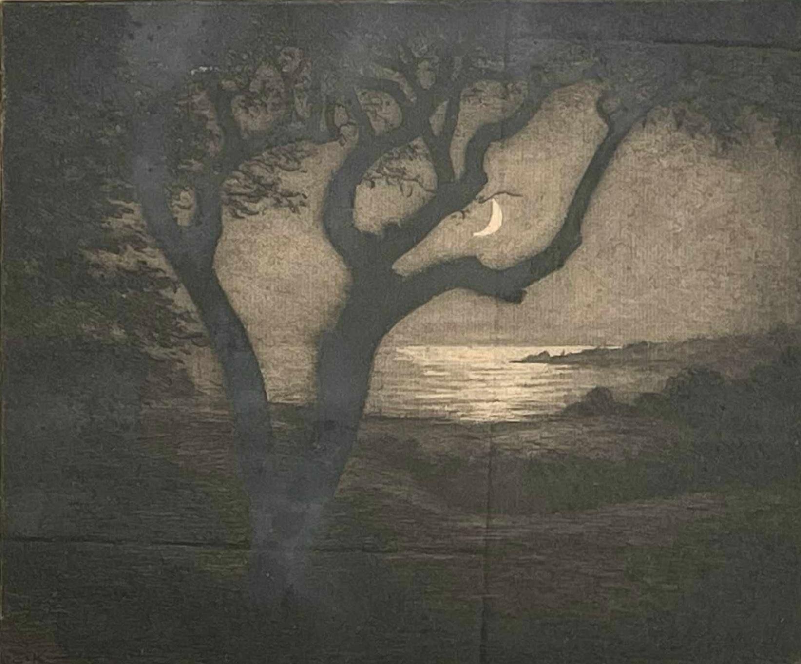 This is an antique etching by renowned Danish artist Emil Krause (1871-1945). The motive of this night-time image is an alluring moon shining behind the trees into silent waters. The image is impressionist in style.

Emil Krause attended the Royal