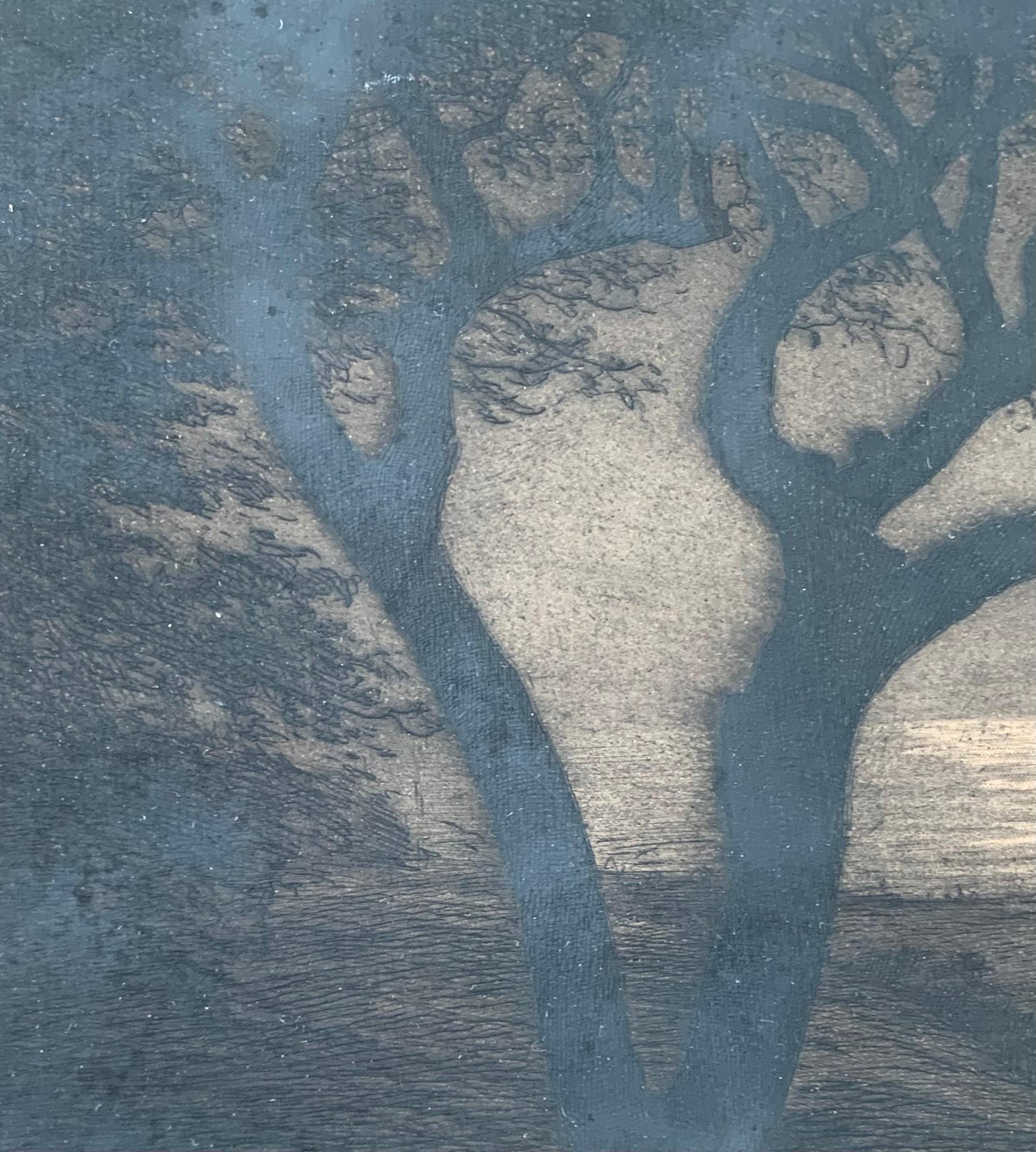 Etched Antique early 20th century impressionist etching by Emil Krause (1871-1945) For Sale