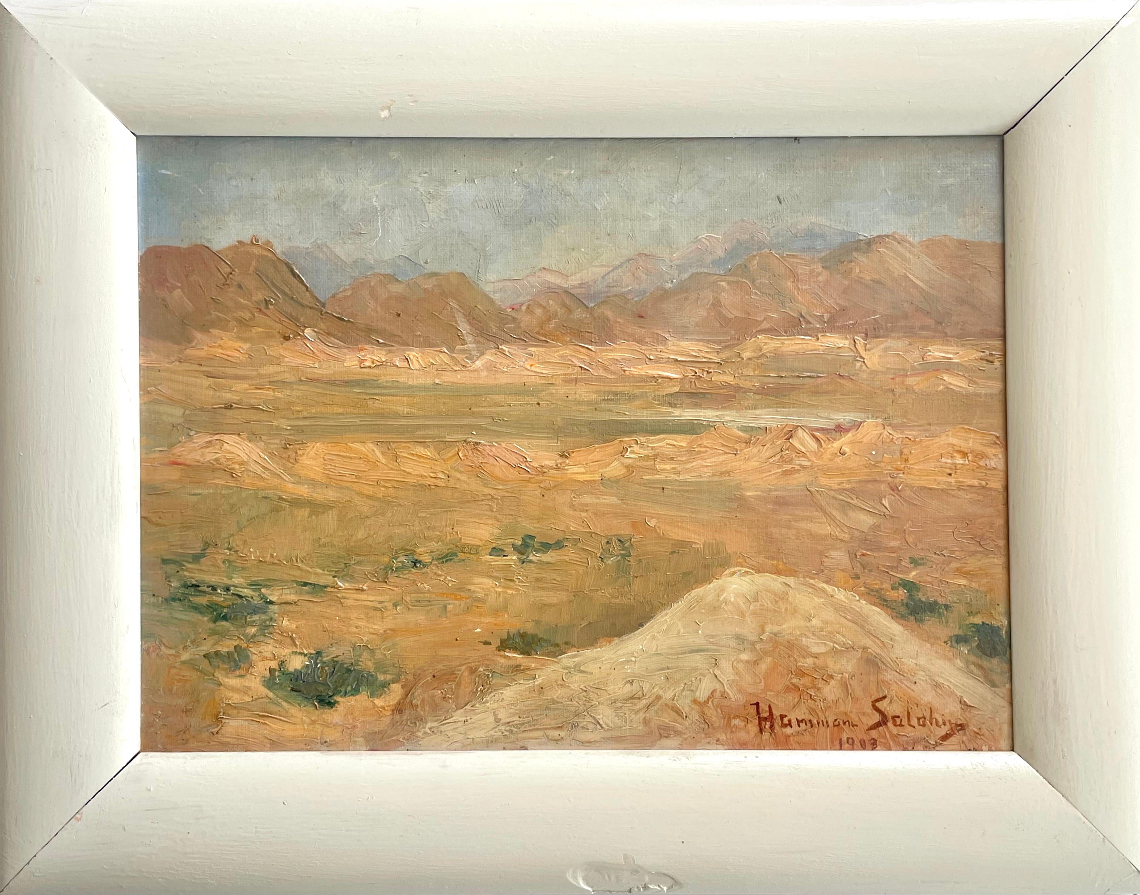 This is an original antique oil on cardboard impressionist painting from 1903. The motive is a desert landscape with mountains in the background kept in warm and intriguing colours.

The painting is signed and dated by the artist in the lower right