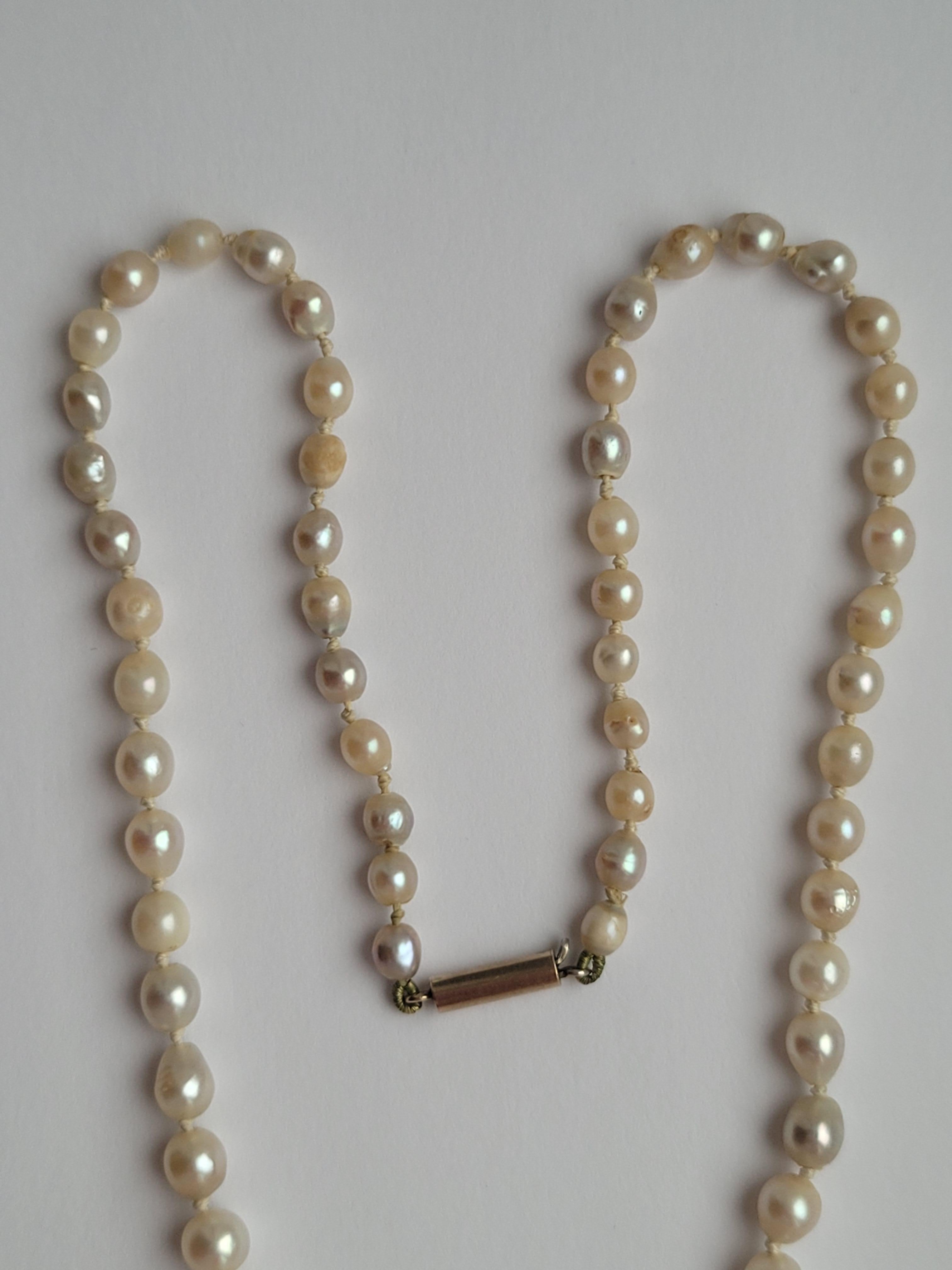 Antike Edwardianische Zuchtperlenkette (Perle) im Angebot