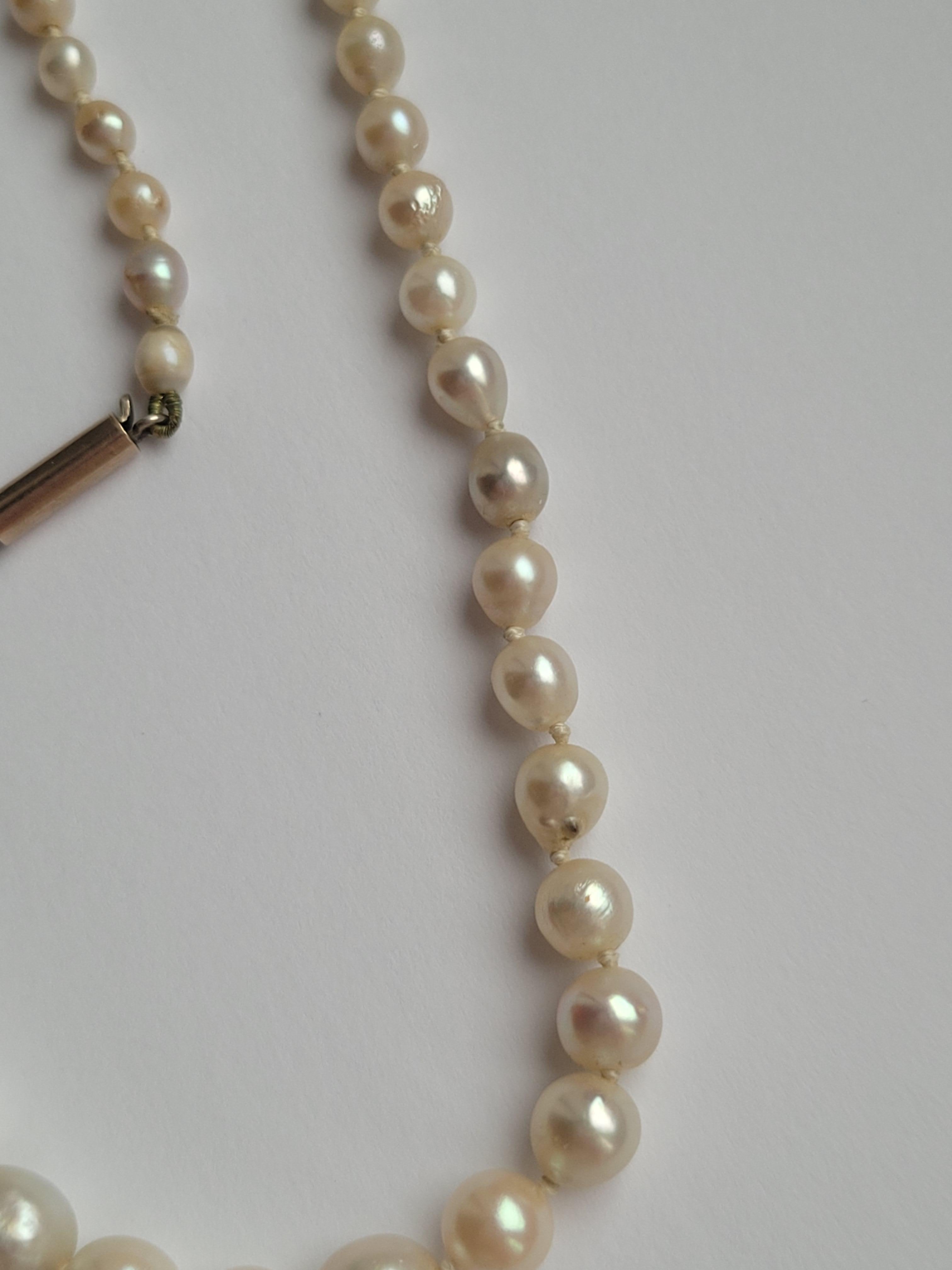 Bead Antique Edwardian Cultured Pearl necklace For Sale