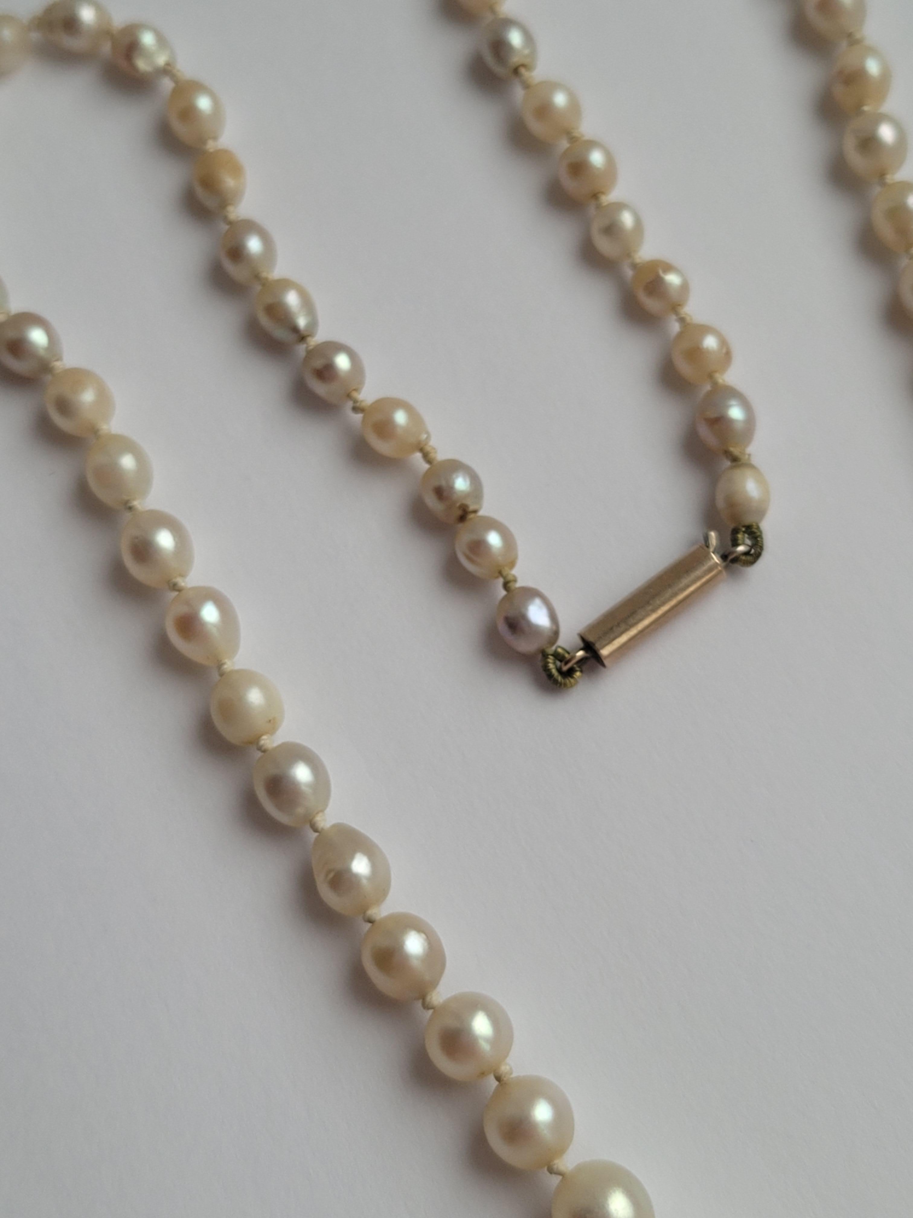 Women's or Men's Antique Edwardian Cultured Pearl necklace For Sale