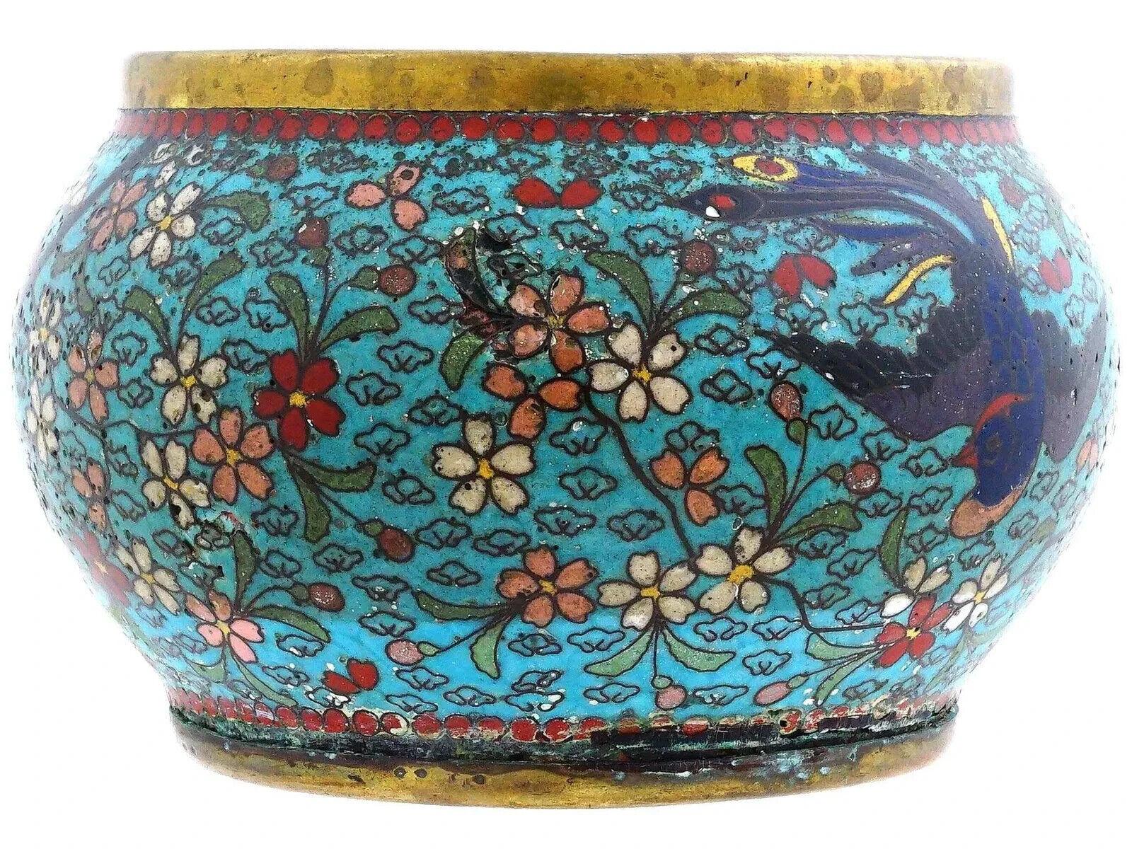 Antike frühe japanische Meiji-Emaille-Schale mit Cloisonné-Vogeln im Blumenmuster aus der Meiji-Zeit (Japanisch) im Angebot