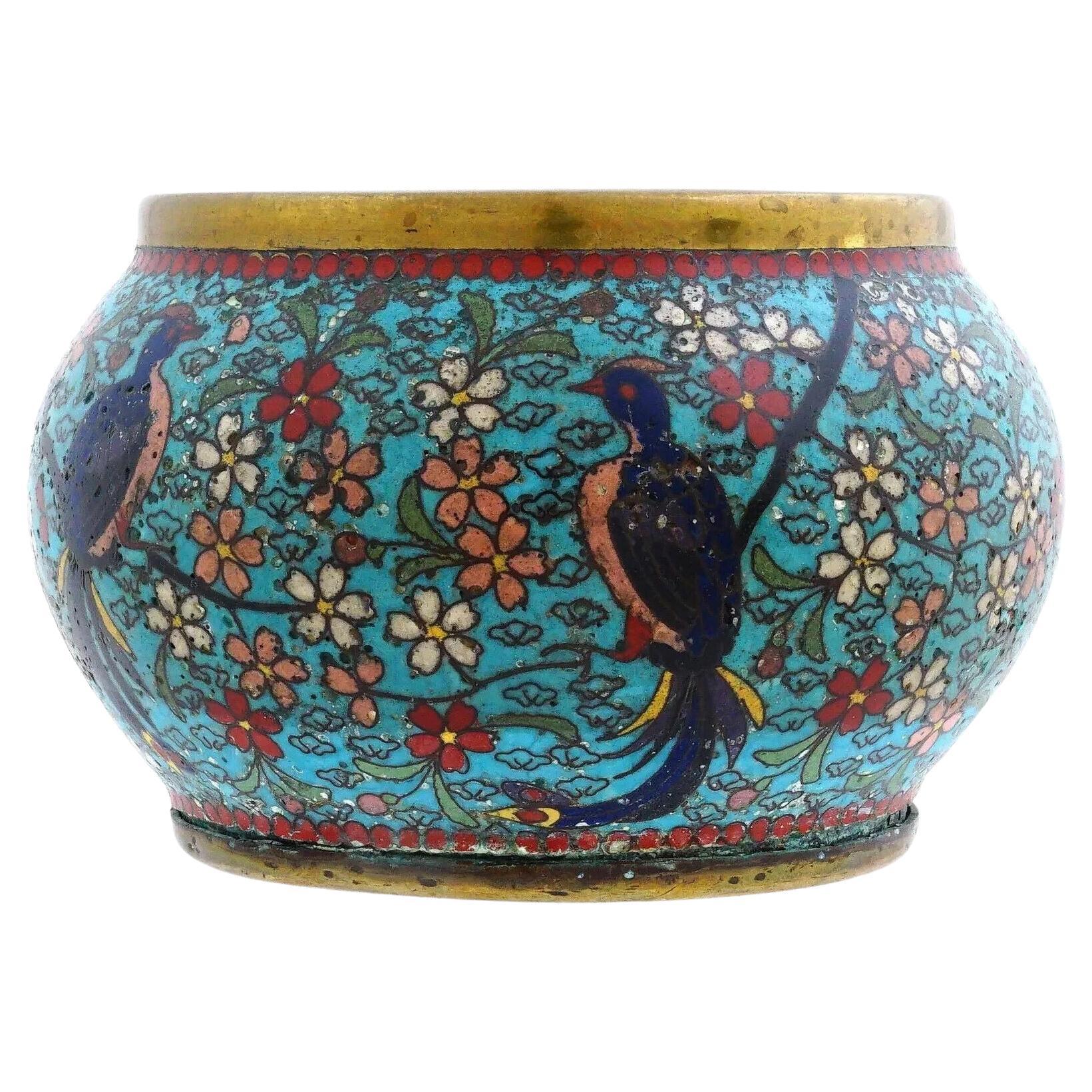 Antike frühe japanische Meiji-Emaille-Schale mit Cloisonné-Vogeln im Blumenmuster aus der Meiji-Zeit im Angebot