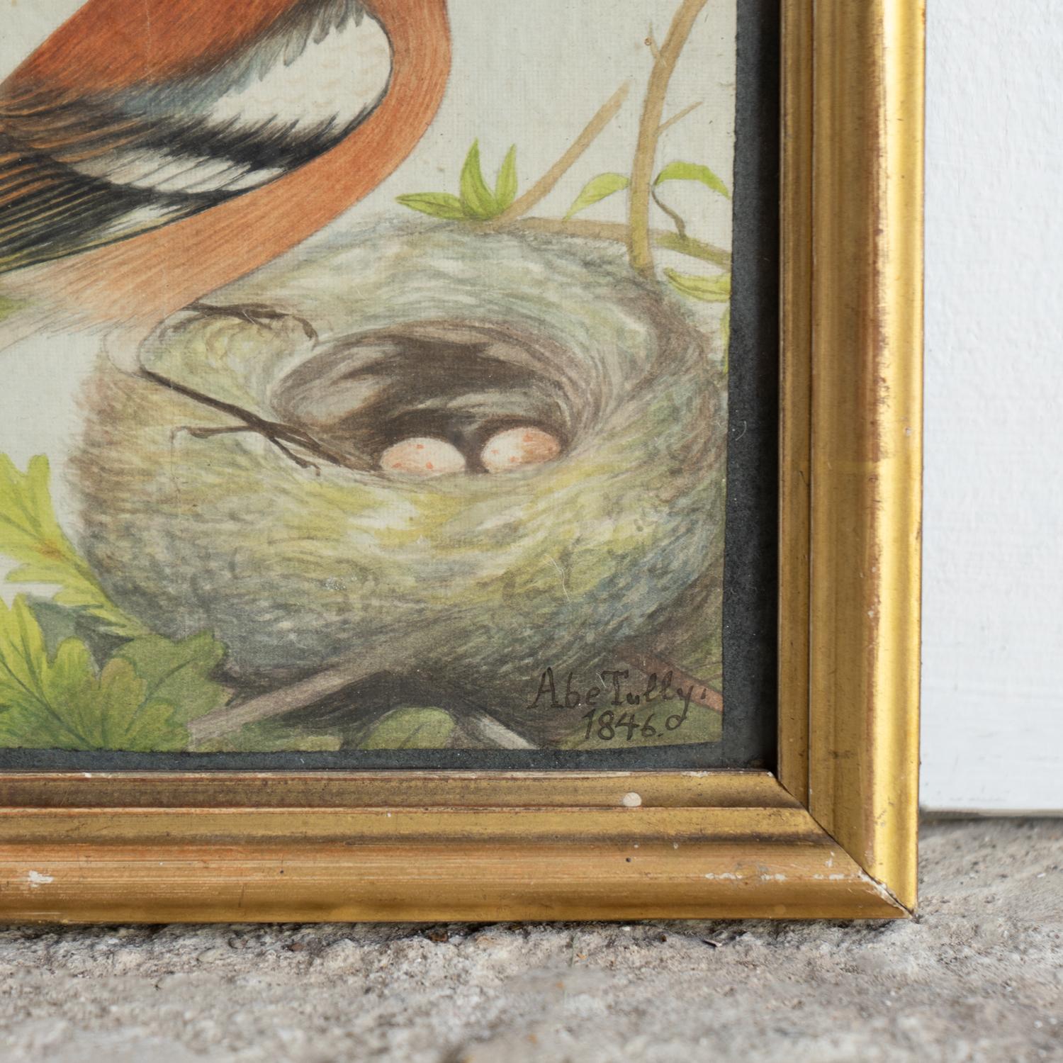 XIX secolo Antico acquerello del primo periodo vittoriano 'Fringuello e nido' Pittura originale in vendita