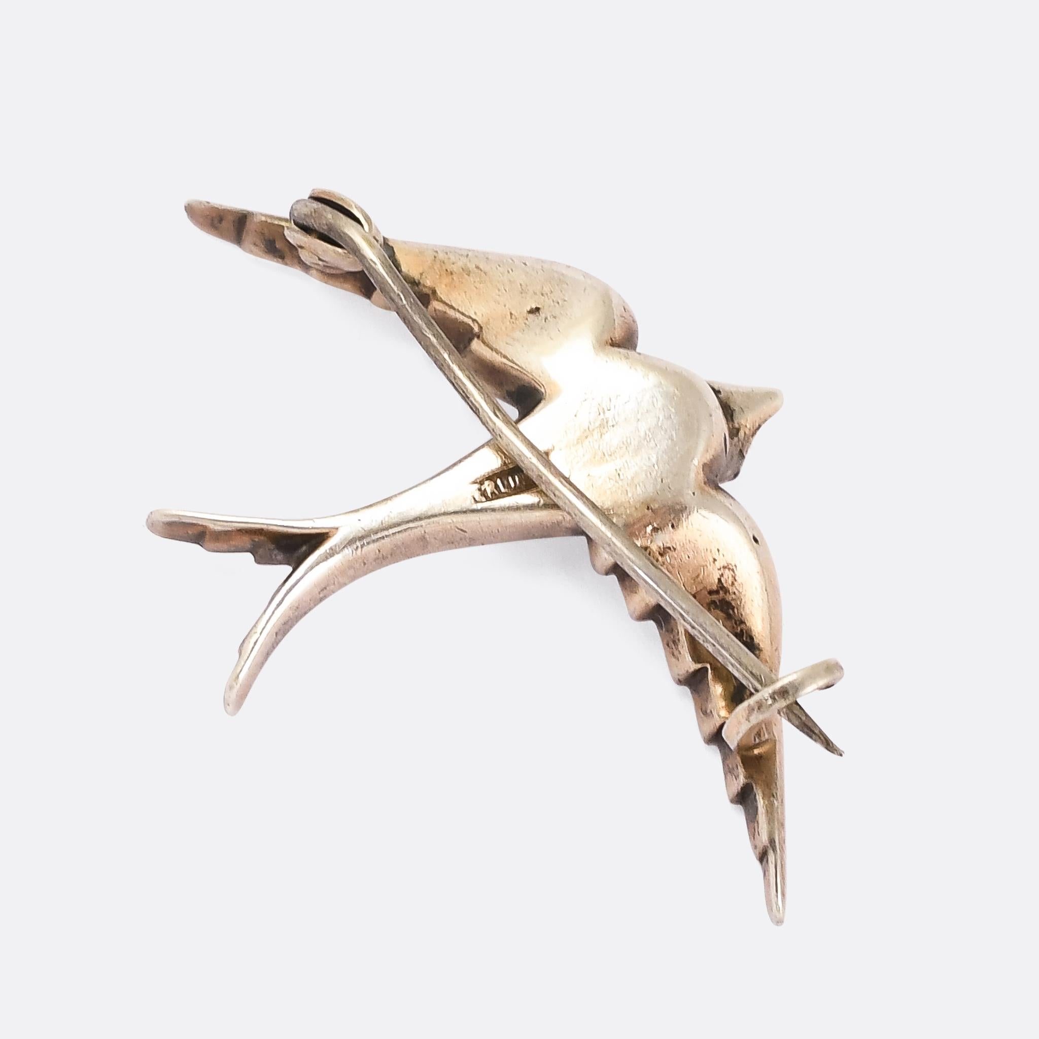 antique swallow brooch